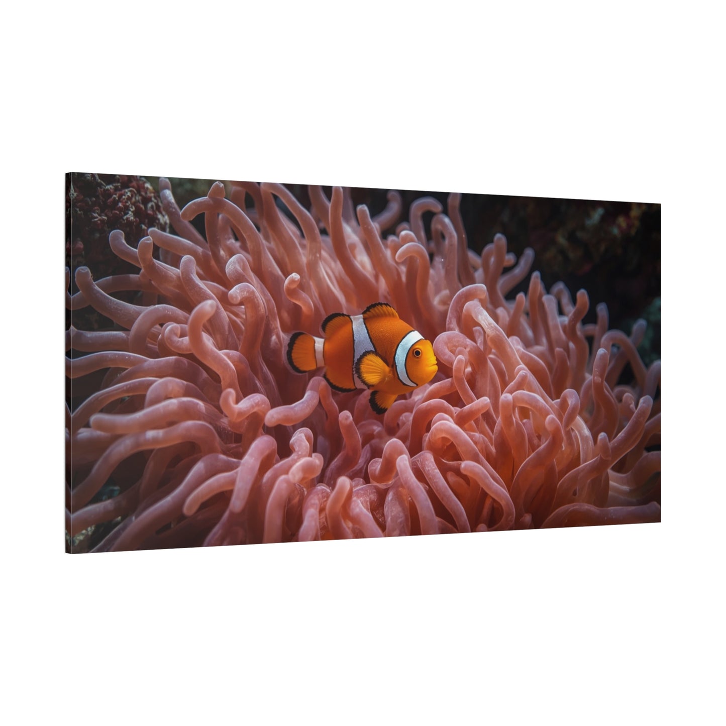 Clownfish Canvas Wall Art - Underwater Sea Anemone Art Print, Coastal Nautical Wall Decor - Matte Finish Stretched Canvas - Bedroom Decoration, Living Room Accent, Bathroom Art - Ready to Hang