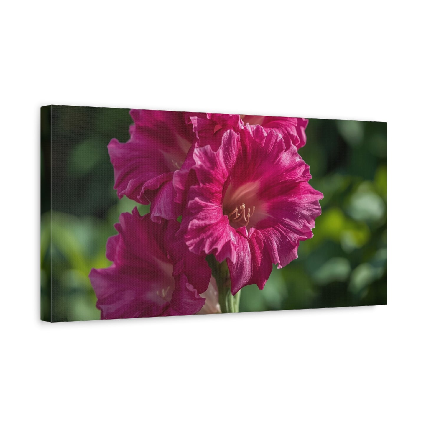Magenta Gladiolus Flower Canvas Wall Art - Floral Botanical Close Up Art Print - Soft Light, Matte Cotton Canvas - Contemporary Bedroom Decor, Living Room Wall Decor, Office Accent - Ready to Hang