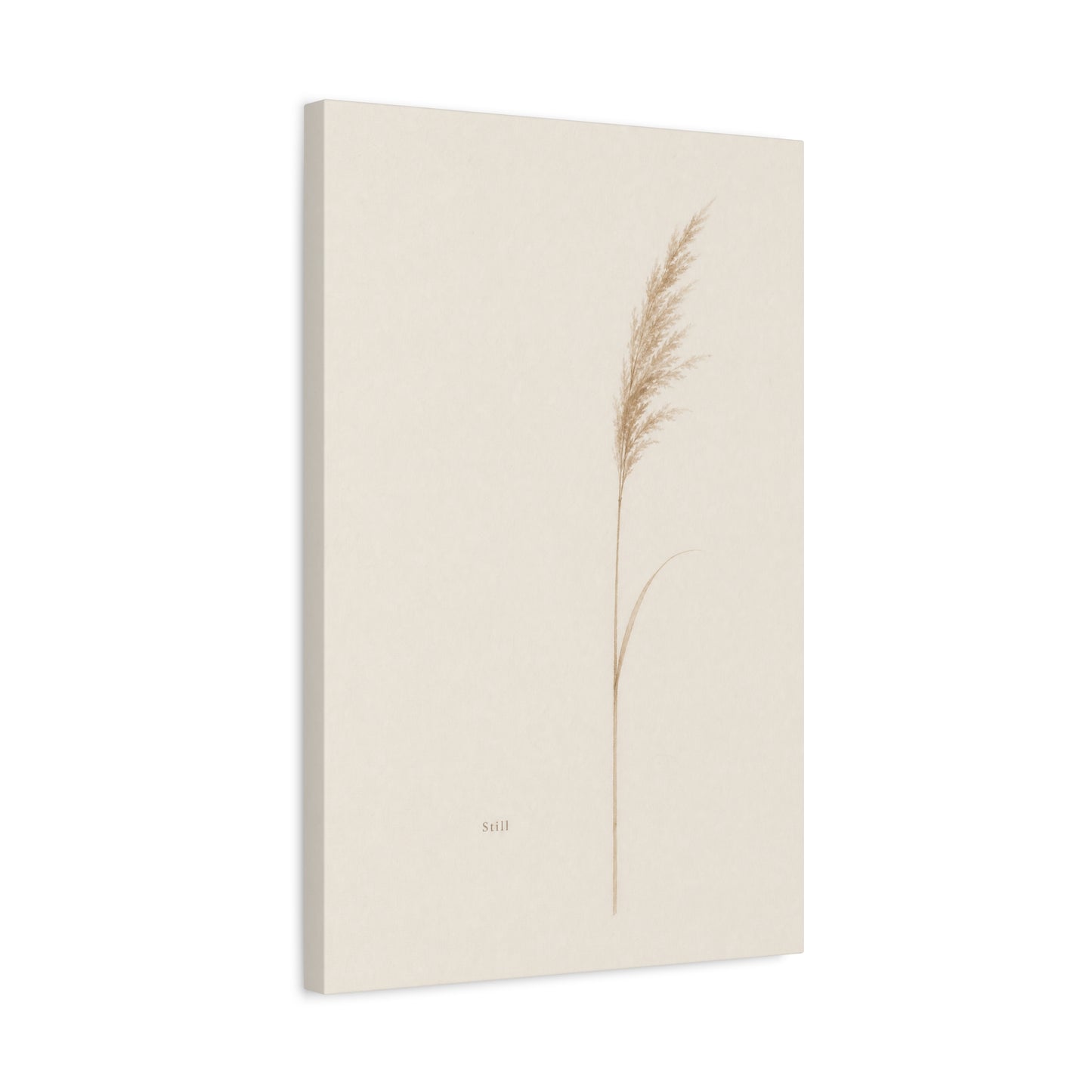 "Still" Minimalist Botanical Canvas Wall Art - Beige Pampas Grass Print, Neutral Contemporary Home Decor - Bedroom Living Room Decoration - Calm Nature Wall Hanging For Meditation Space
