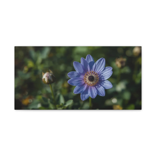 Blue Daisy Flower Canvas Wall Art - Botanical Floral Art Print, Soft Matte Garden Close Up - Contemporary Nature Style - Bedroom Wall Decor, Living Room Home Accent - Bedroom Home Decoration