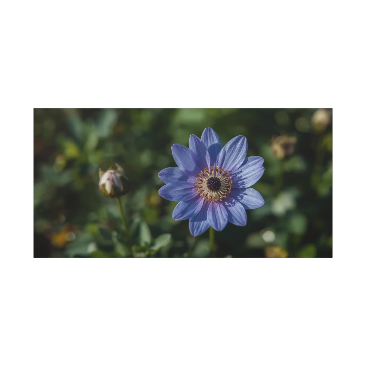 Blue Daisy Flower Canvas Wall Art - Botanical Floral Art Print, Soft Matte Garden Close Up - Contemporary Nature Style - Bedroom Wall Decor, Living Room Home Accent - Bedroom Home Decoration