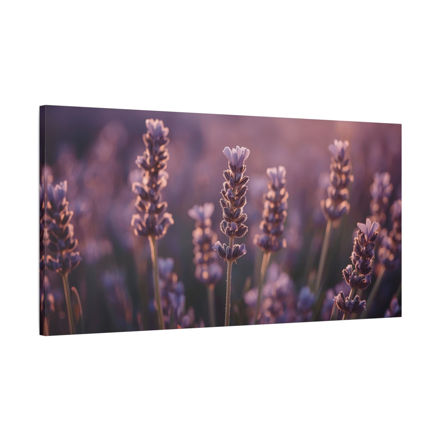 Lavender Field Canvas Art Print - Soft Purple Botanical Art Print, Cotton Matte Decor - Serene Bedroom Accent, Living Room Decoration, Spa Style Interior, Office Display - Living Room Wall Decor