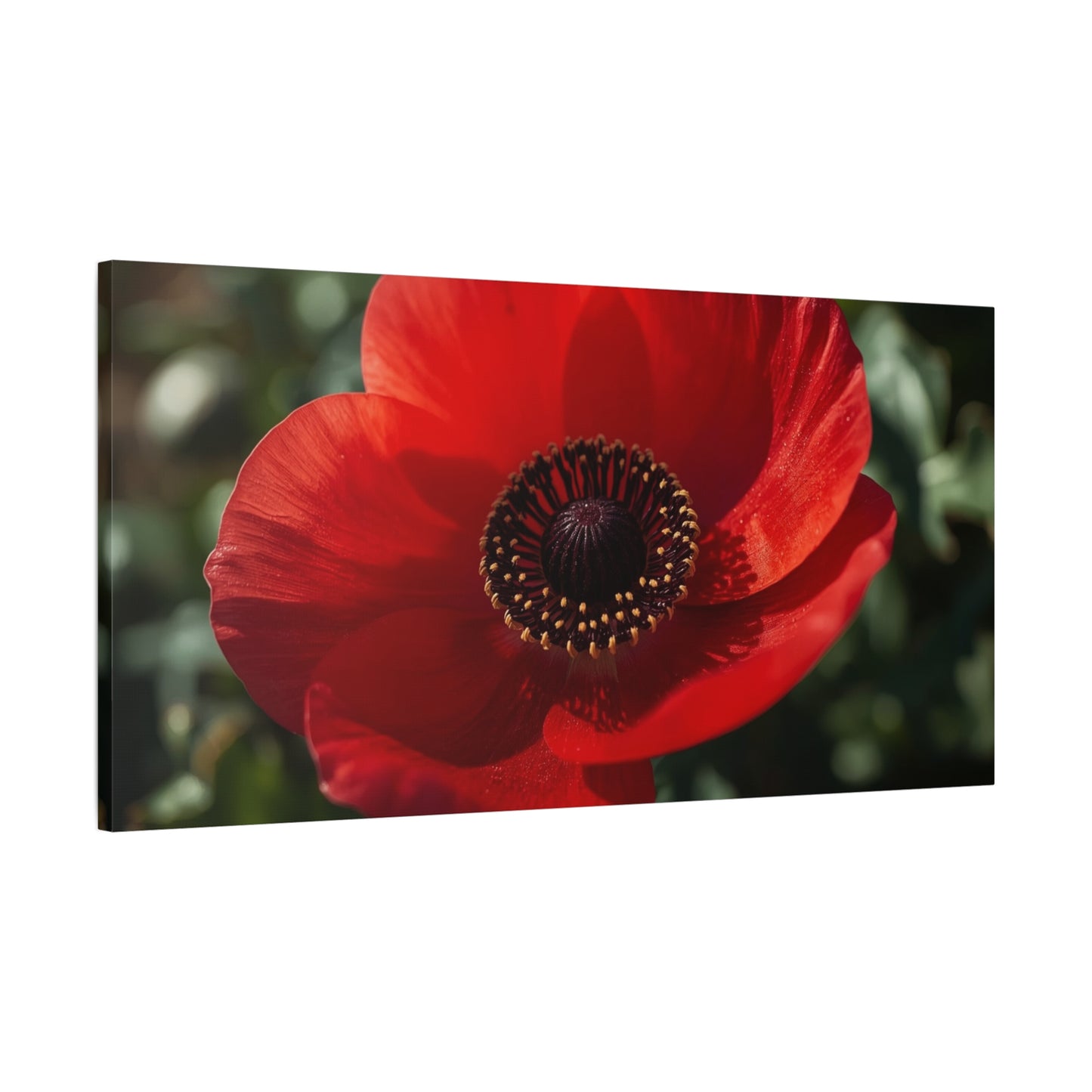 Red Poppy Flower Canvas Wall Art - Botanical Floral Close Up Art Print, Matte Canvas Print - Contemporary Nature Wall Decor, Bedroom Home Decoration, Living Room Accent, Office Art - Ready to Hang