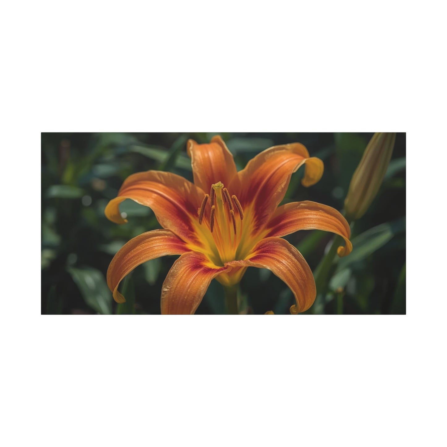 Orange Daylily Canvas Wall Art - Floral Close Up Art Print, Botanical Canvas Print - Matte Cotton Wall Decor - Contemporary Style, Bedroom Home Decoration, Office Art Accent - Modern Farmhouse Style