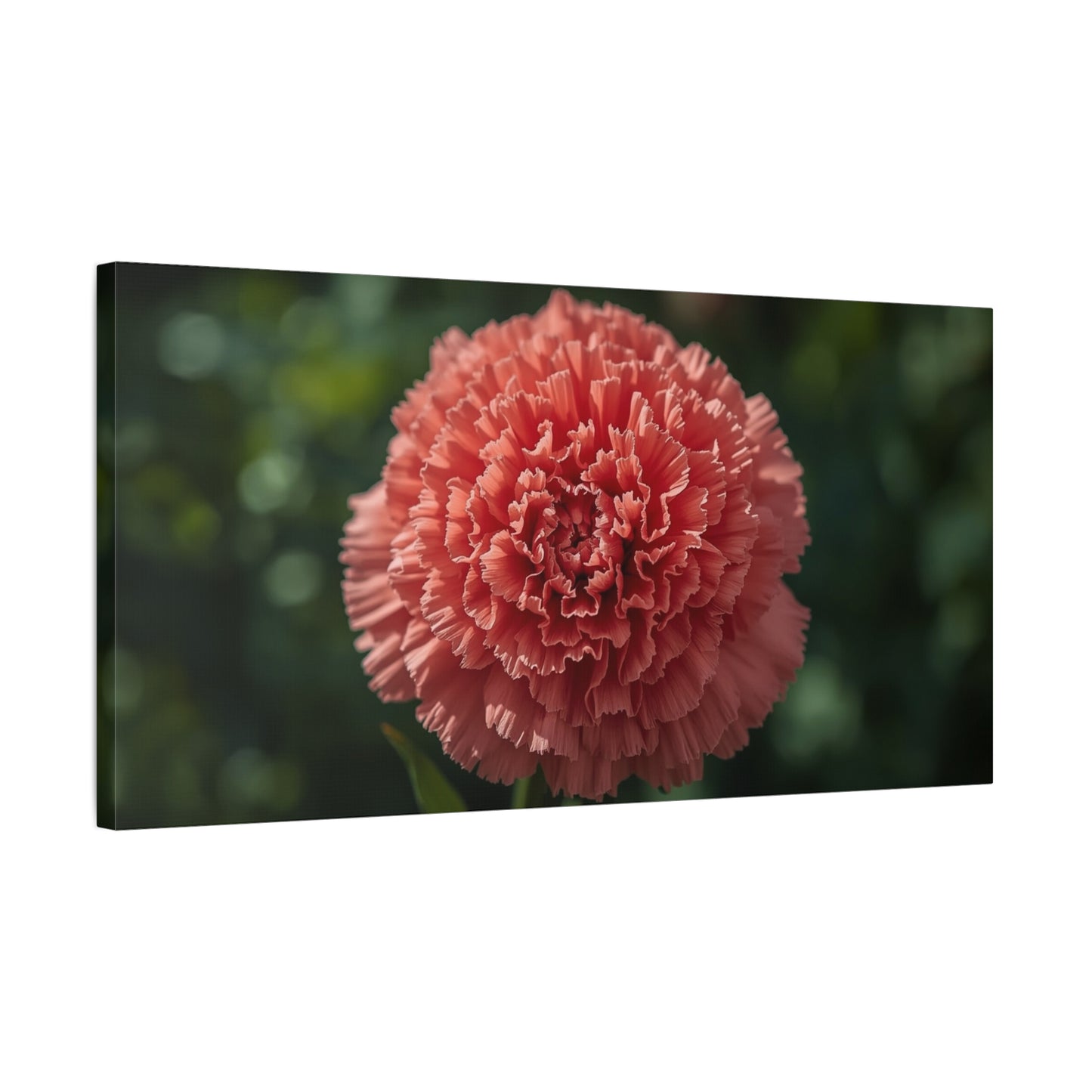 Pink Carnation Canvas Wall Art - Floral Close Up Botanical Print, Soft Focus Garden Art Print - Matte Cotton Canvas - Bedroom Wall Decor, Living Room Home Decoration - Bedroom Home Decoration