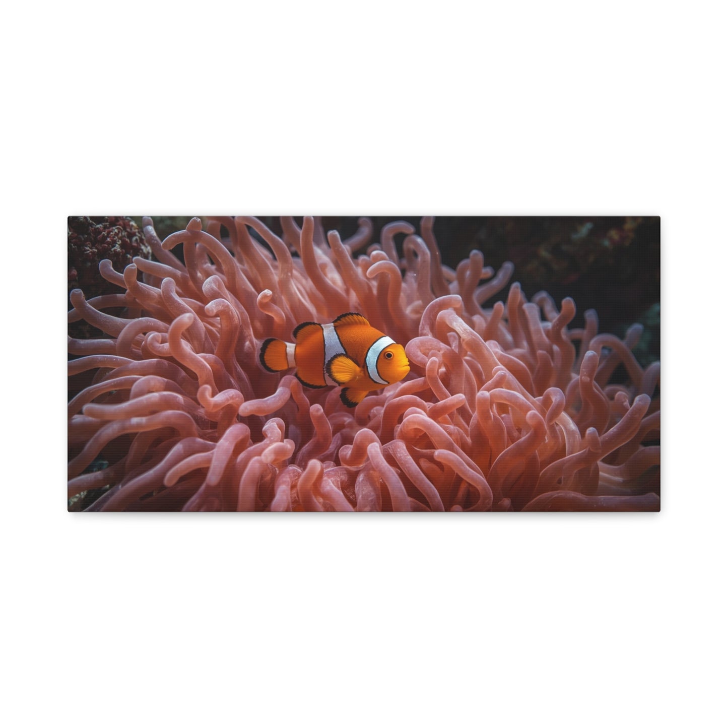 Clownfish Canvas Wall Art - Underwater Sea Anemone Art Print, Coastal Nautical Wall Decor - Matte Finish Stretched Canvas - Bedroom Decoration, Living Room Accent, Bathroom Art - Ready to Hang