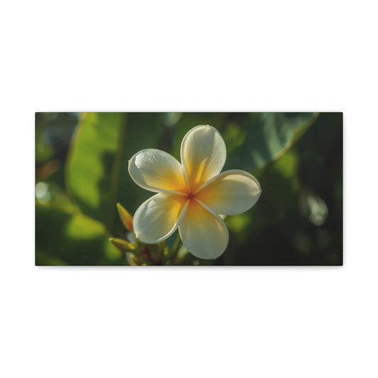 Plumeria Flower Canvas Wall Art - Tropical Floral Art Print, Soft Golden Light - Matte Cotton Art Print - Coastal Style, Bedroom Decoration, Bathroom Accent, Spa Inspired Decor - Ready to Hang