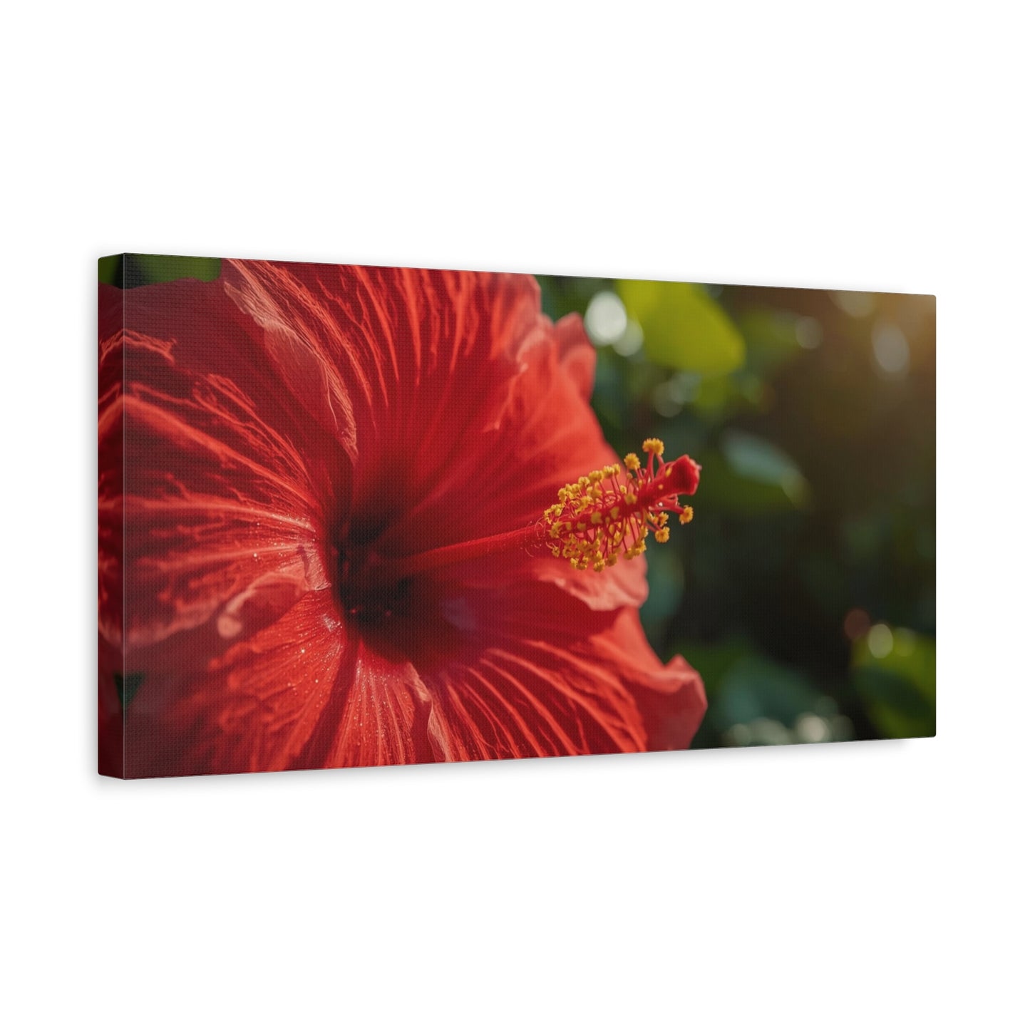 Red Hibiscus Flower Canvas Wall Art - Tropical Floral Botanical Art Print, Warm Sunlit Petals, Matte Cotton Canvas, Contemporary Nature Decor For Bedroom Living Room Office - Living Room Wall Decor