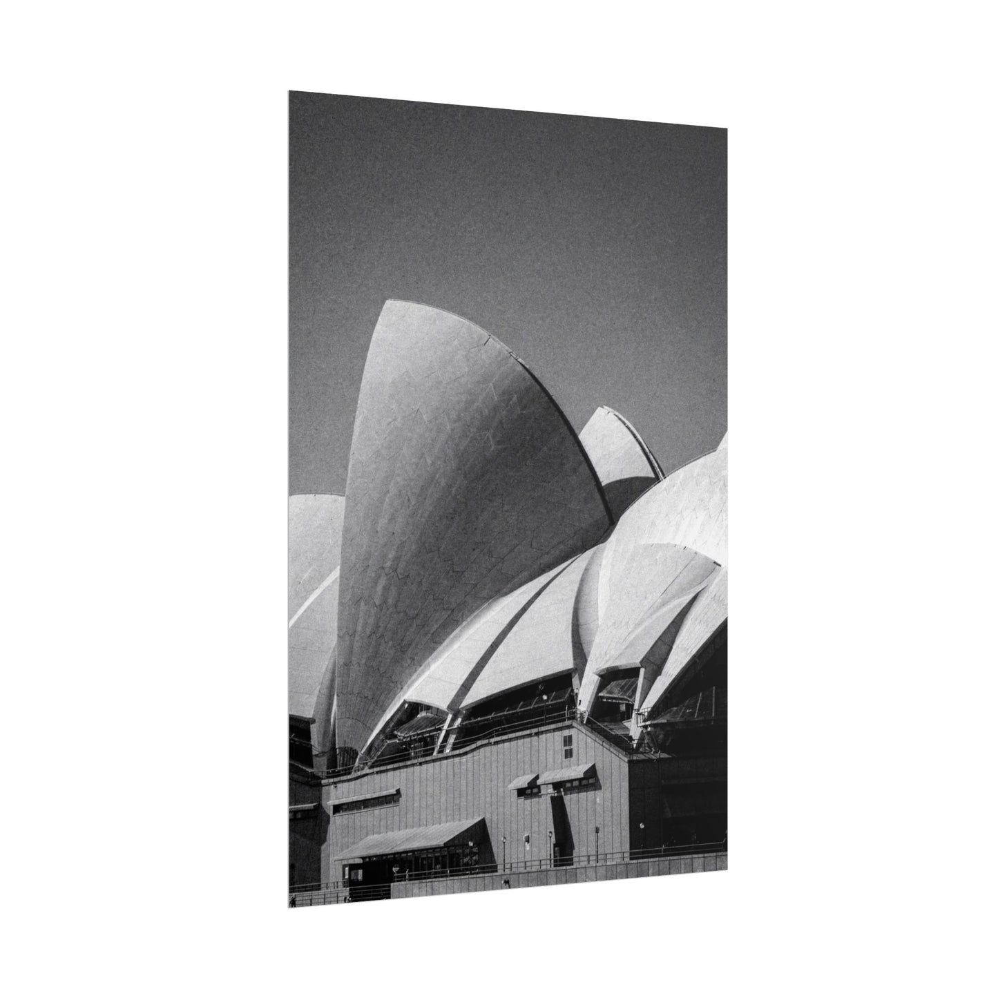 Flux Pro 2.0 Professional Black And White Photography O B37893ff — Poster