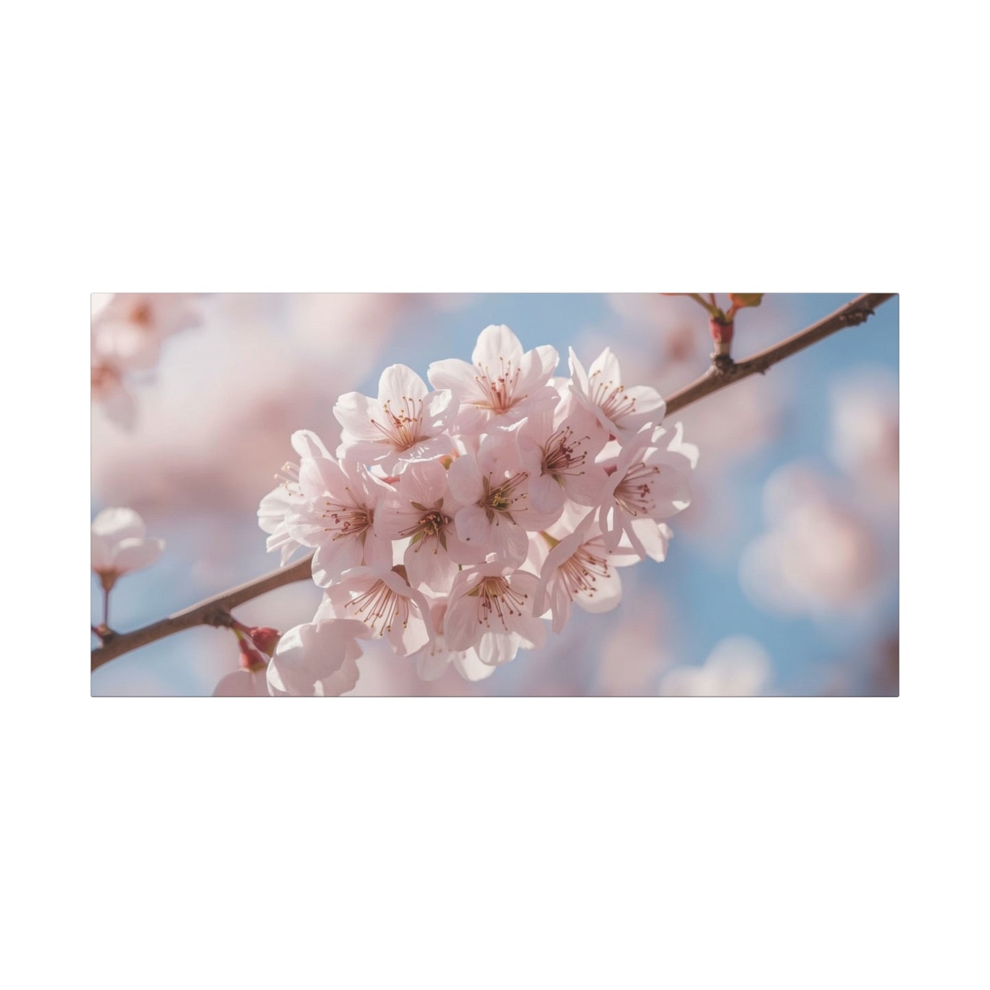 Cherry Blossom Canvas Wall Art - Soft Pink Sakura Flower Branch Art Print - Serene Floral Home Decor - Cotton Canvas Wall Hanging - Bedroom Living Room Decoration, Spa Style Accent