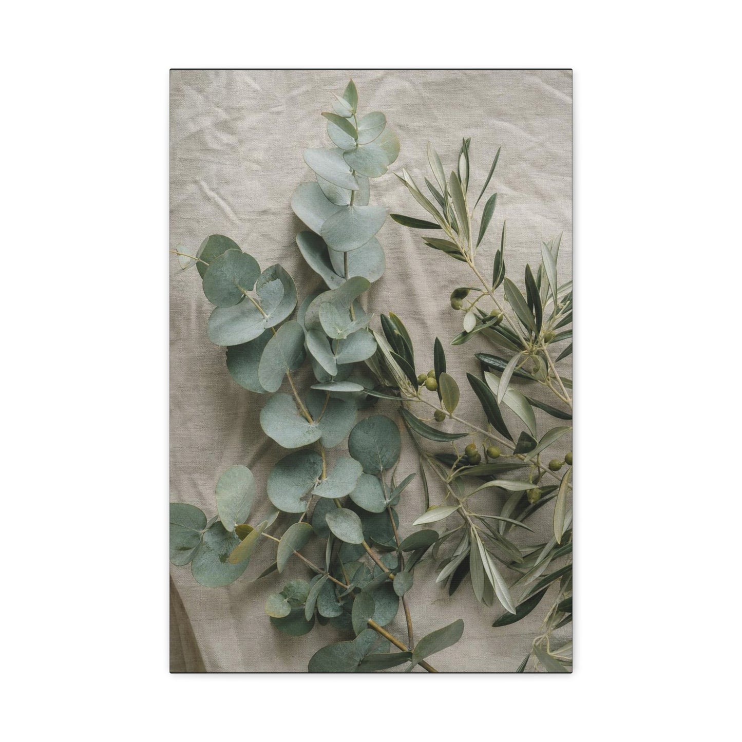 Eucalyptus And Olive Branch Canvas Wall Art - Botanical Still Life, Soft Sage Beige Tones - Matte Cotton Print, Minimalist Traditional Style - Bedroom Decoration, Spa Accent - Living Room Wall Decor