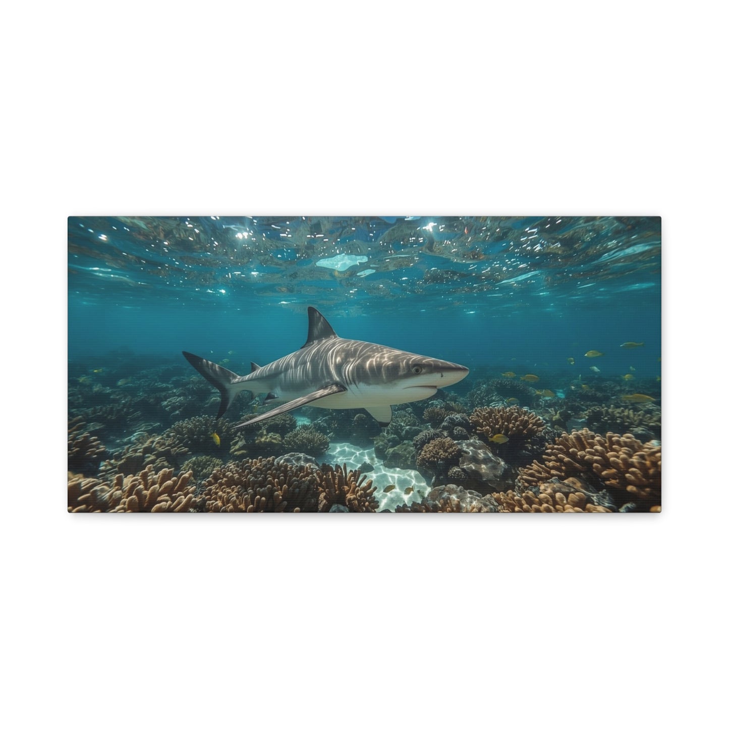 Tiger Shark Canvas Wall Art - Underwater Coral Reef Ocean Art Print, Blue Coastal Wall Decor - Matte Canvas Seascape - Living Room Home Decoration, Office Art - Bedroom Home Decoration