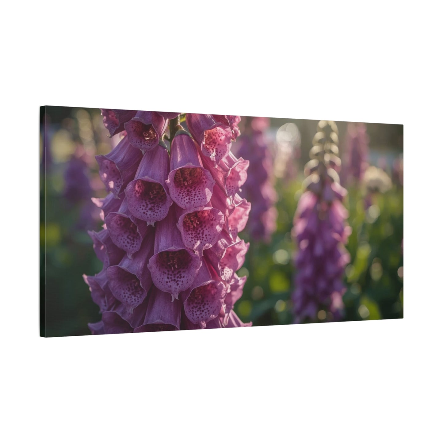 Purple Foxglove Flower Canvas Wall Art - Botanical Floral Art Print, Soft Golden Light, Matte Finish Decor - Bedroom Wall Hanging, Living Room Accent, Spa Style Interior Design - Ready to Hang