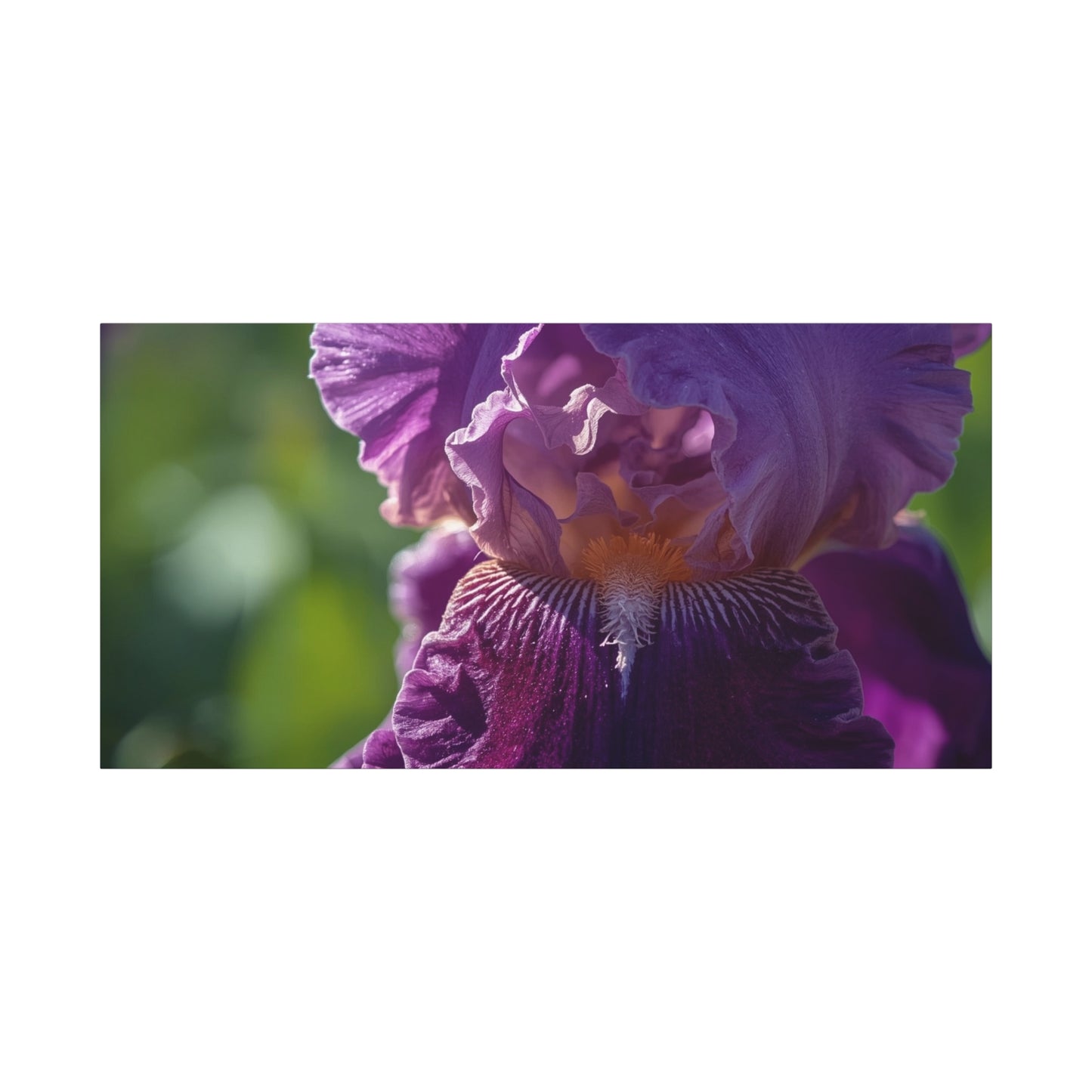 Purple Iris Canvas Wall Art - Floral Macro Art Print, Botanical Canvas Print - Soft Matte Cotton Detail, Contemporary Style - Bedroom Wall Decor, Living Room Home Accent - Bedroom Home Decoration