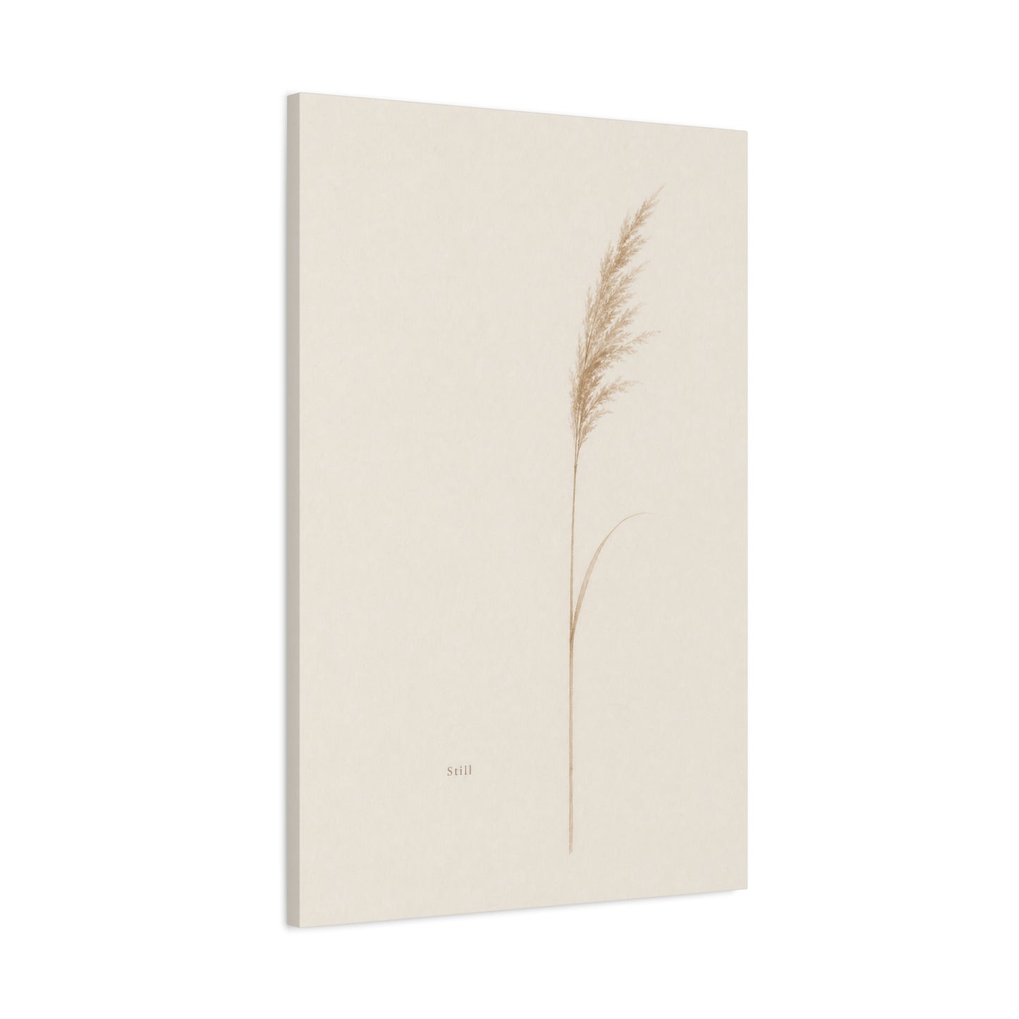 "Still" Minimalist Botanical Canvas Wall Art - Beige Pampas Grass Print, Neutral Contemporary Home Decor - Bedroom Living Room Decoration - Calm Nature Wall Hanging For Meditation Space
