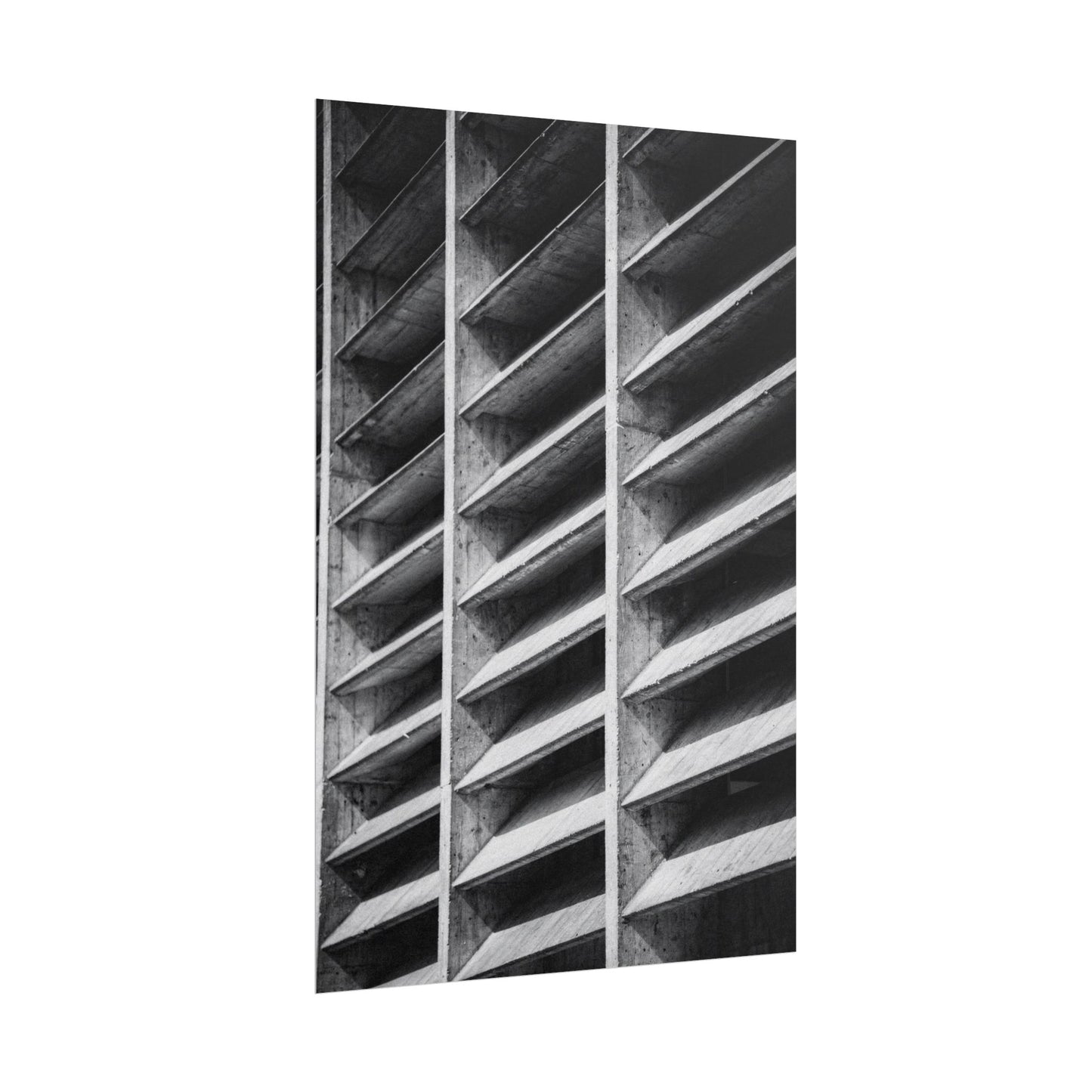 Flux Pro 2.0 Professional Black And White Photography O D1bca53e — Poster
