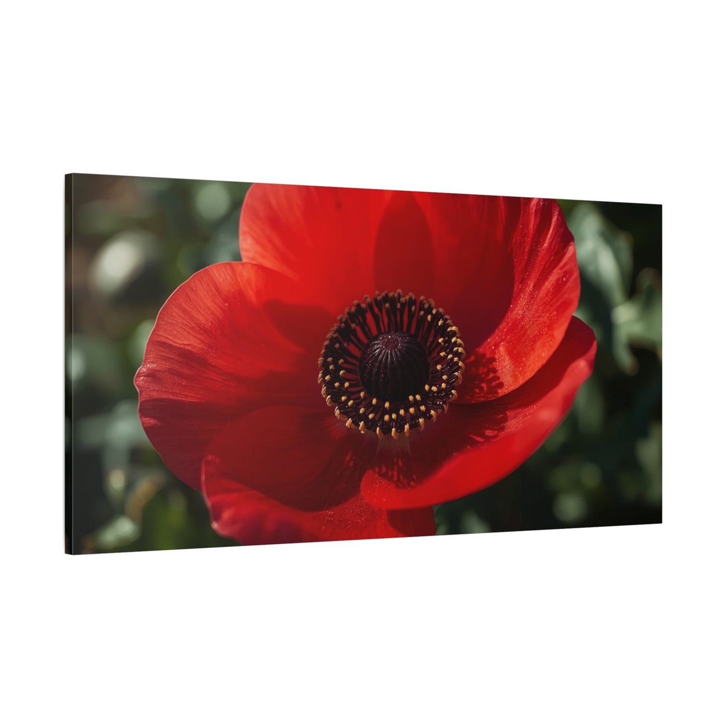 Red Poppy Flower Canvas Wall Art - Botanical Floral Close Up Art Print, Matte Canvas Print - Contemporary Nature Wall Decor, Bedroom Home Decoration, Living Room Accent, Office Art - Ready to Hang