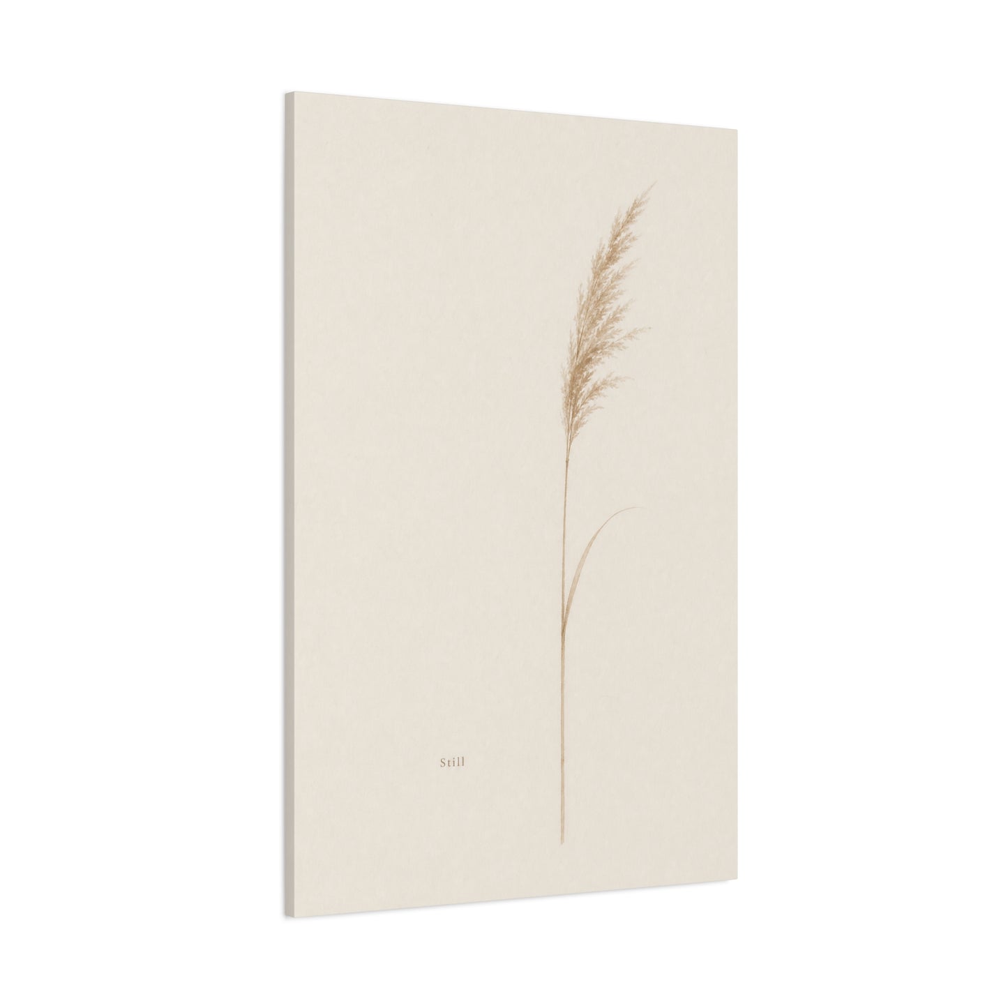"Still" Minimalist Botanical Canvas Wall Art - Beige Pampas Grass Print, Neutral Contemporary Home Decor - Bedroom Living Room Decoration - Calm Nature Wall Hanging For Meditation Space