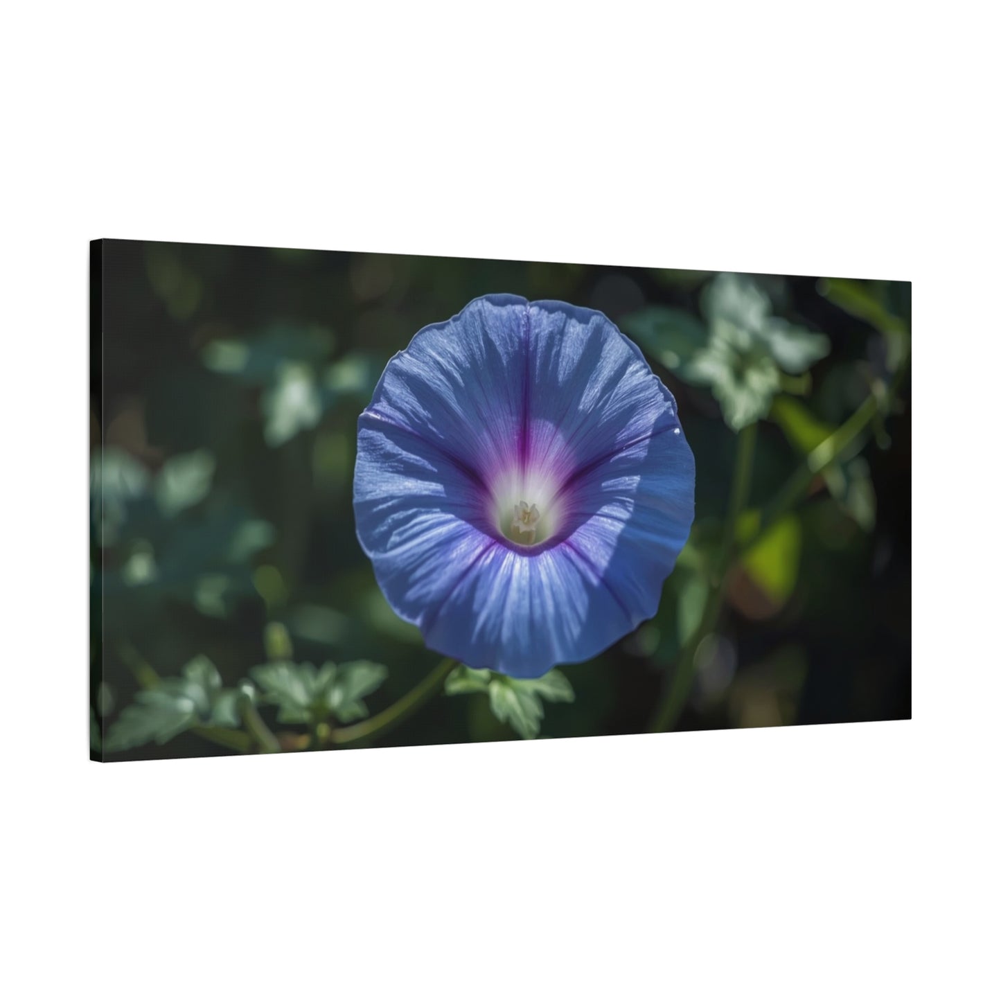 Blue Morning Glory Canvas Wall Art - Floral Botanical Art Print, Purple Bloom Wall Decor - Matte Cotton Art Print, Contemporary Nature Style - Bedroom Decoration, Living Room Accent - Ready to Hang