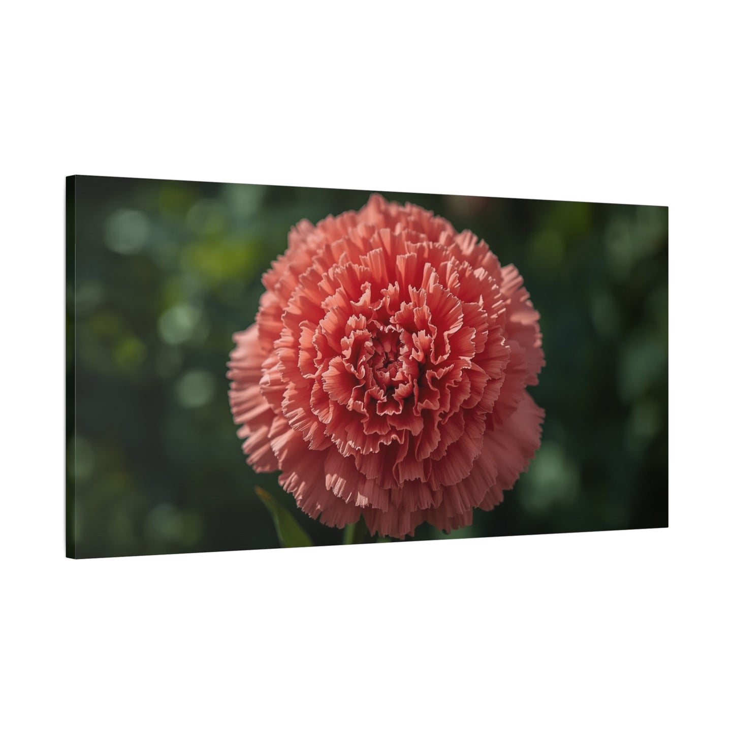 Pink Carnation Canvas Wall Art - Floral Close Up Botanical Print, Soft Focus Garden Art Print - Matte Cotton Canvas - Bedroom Wall Decor, Living Room Home Decoration - Bedroom Home Decoration