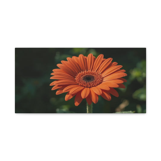 Orange Gerbera Daisy Canvas Wall Art - Botanical Floral Art Print, Dark Green Background - Matte Cotton Decor - Bedroom Wall Hanging, Living Room Home Accent - Bedroom Home Decoration