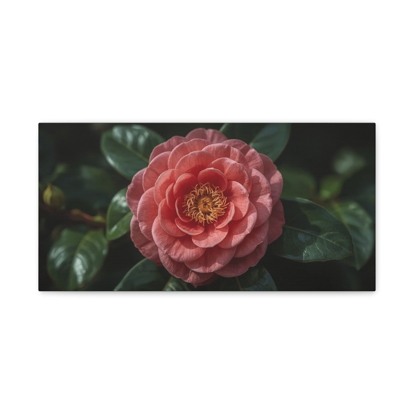 Pink Camellia Flower Canvas Wall Art - Botanical Floral Art Print, Dark Green Leaves, Matte Finish Decor - Traditional Style, Bedroom Wall Decor, Living Room Accent - Bedroom Home Decoration