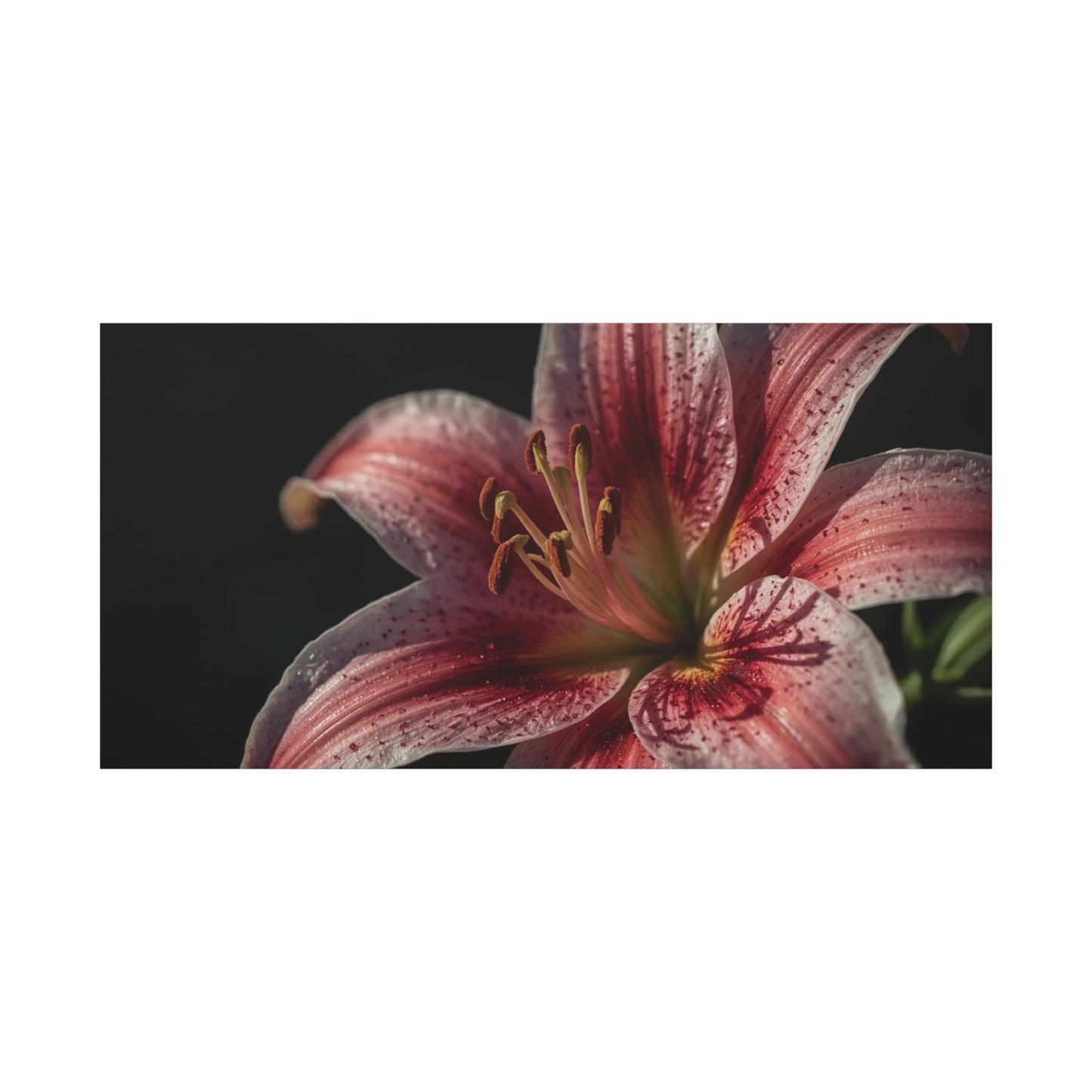 Pink Stargazer Lily Canvas Wall Art - Floral Macro Art Print, Dark Botanical Canvas Print - Matte Cotton Decor, Contemporary Style - Bedroom Wall Accent, Living Room Decoration - Ready to Hang