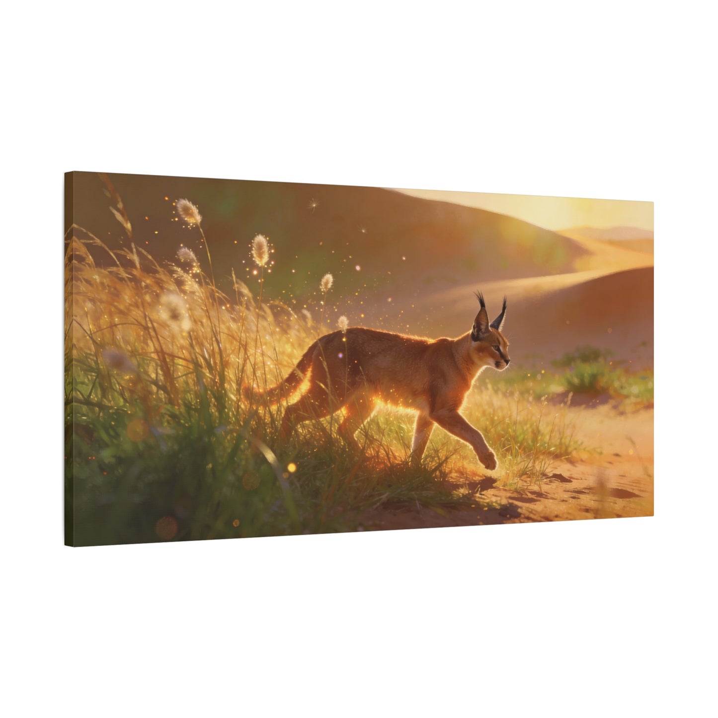 Caracal Canvas Wall Art - Golden Desert Wildlife Scene, Sunlit Grassland Illustration - Matte Cotton Art Print, Contemporary Nature Decor - Living Room Accent, Bedroom Decoration - Ready to Hang