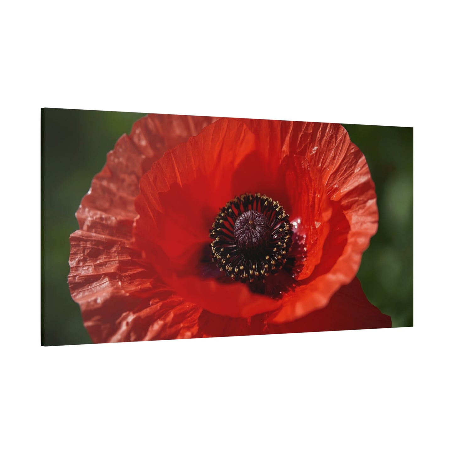 Red Poppy Flower Canvas Wall Art - Macro Botanical Art Print, Floral Nature Decor - Matte Cotton Canvas Print - Contemporary Style, Living Room Wall Decor, Bedroom Home Accent - Ready to Hang
