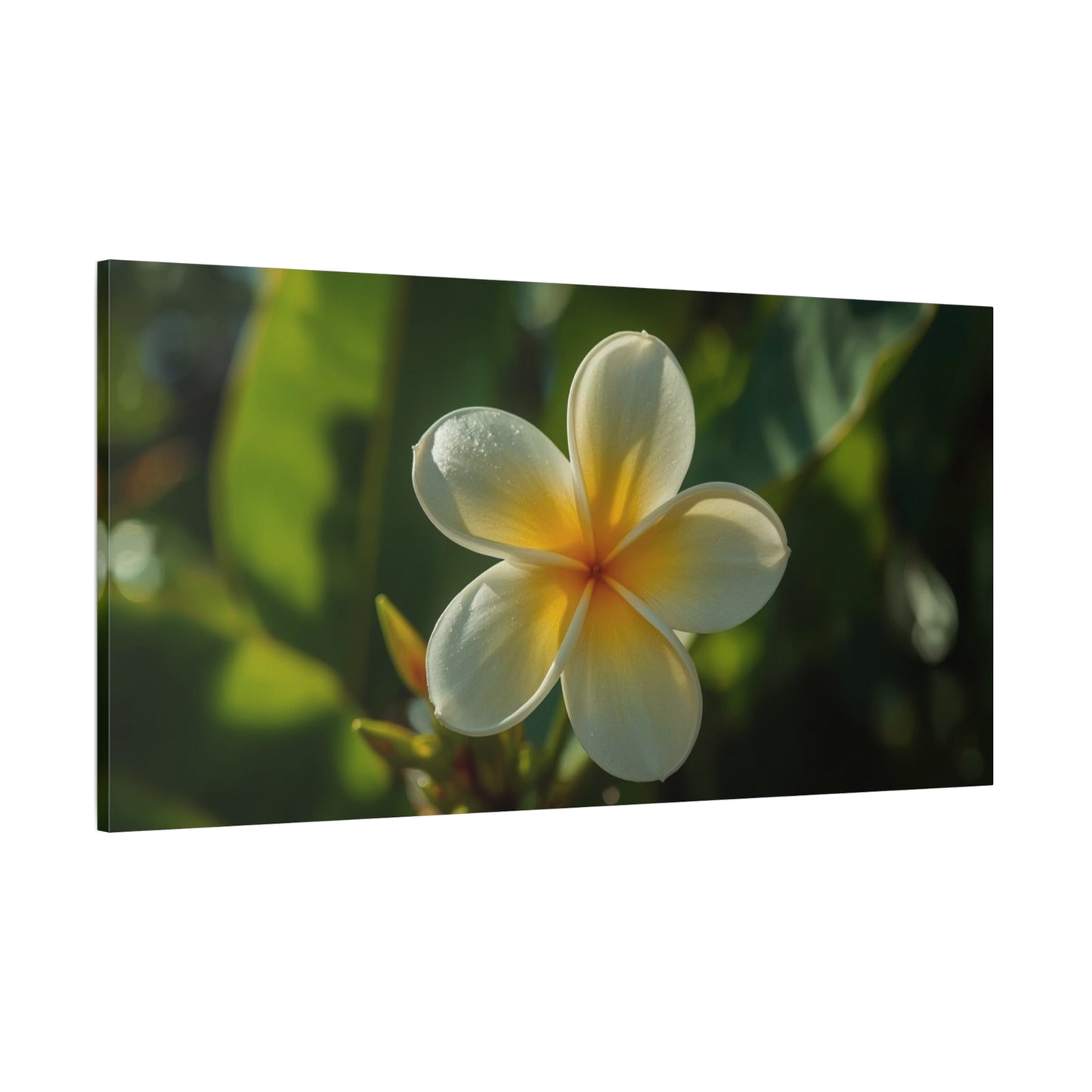 Plumeria Flower Canvas Wall Art - Tropical Floral Art Print, Soft Golden Light - Matte Cotton Art Print - Coastal Style, Bedroom Decoration, Bathroom Accent, Spa Inspired Decor - Ready to Hang