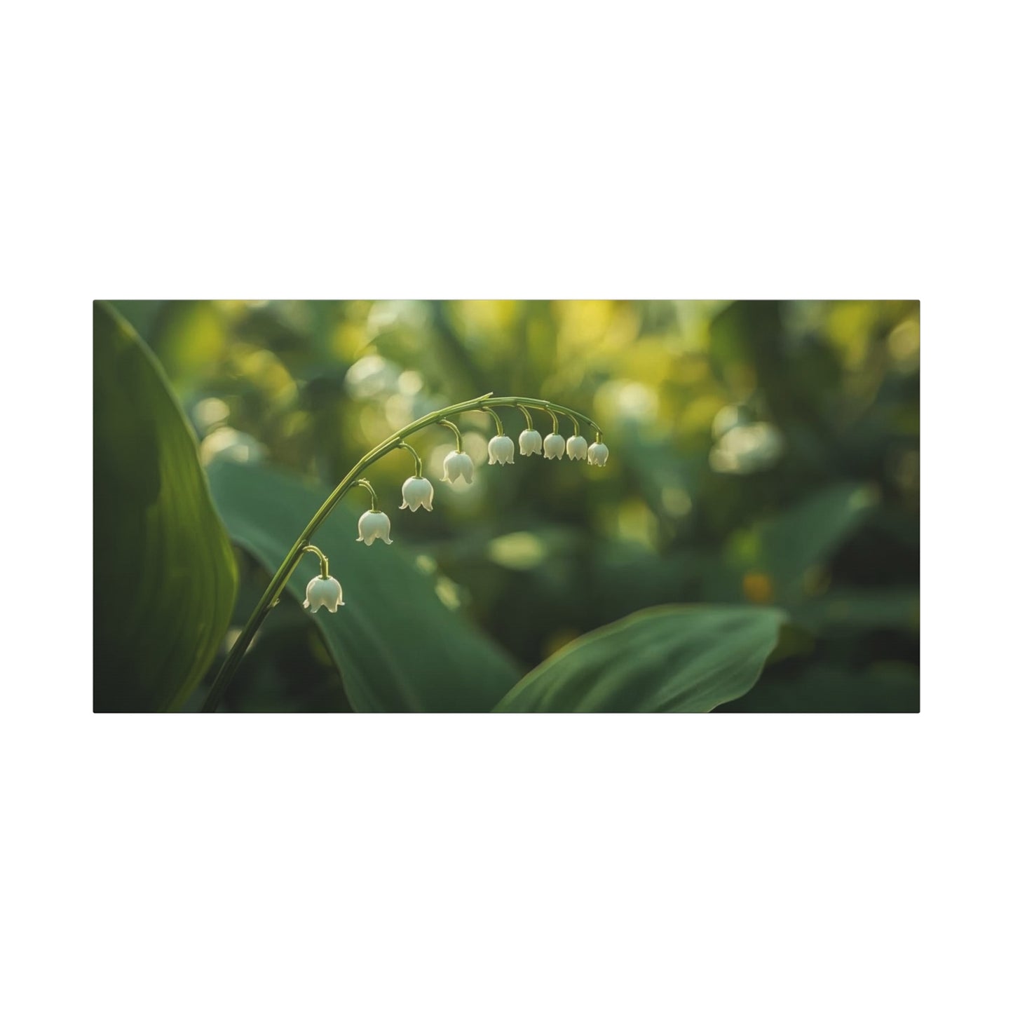 Lily Of The Valley Canvas Wall Art - Botanical Floral Close Up, Soft Green Bokeh - Matte Cotton Art Print, Traditional Style - Bedroom Decoration, Bathroom Accent, Spa Wall Decor - Ready to Hang