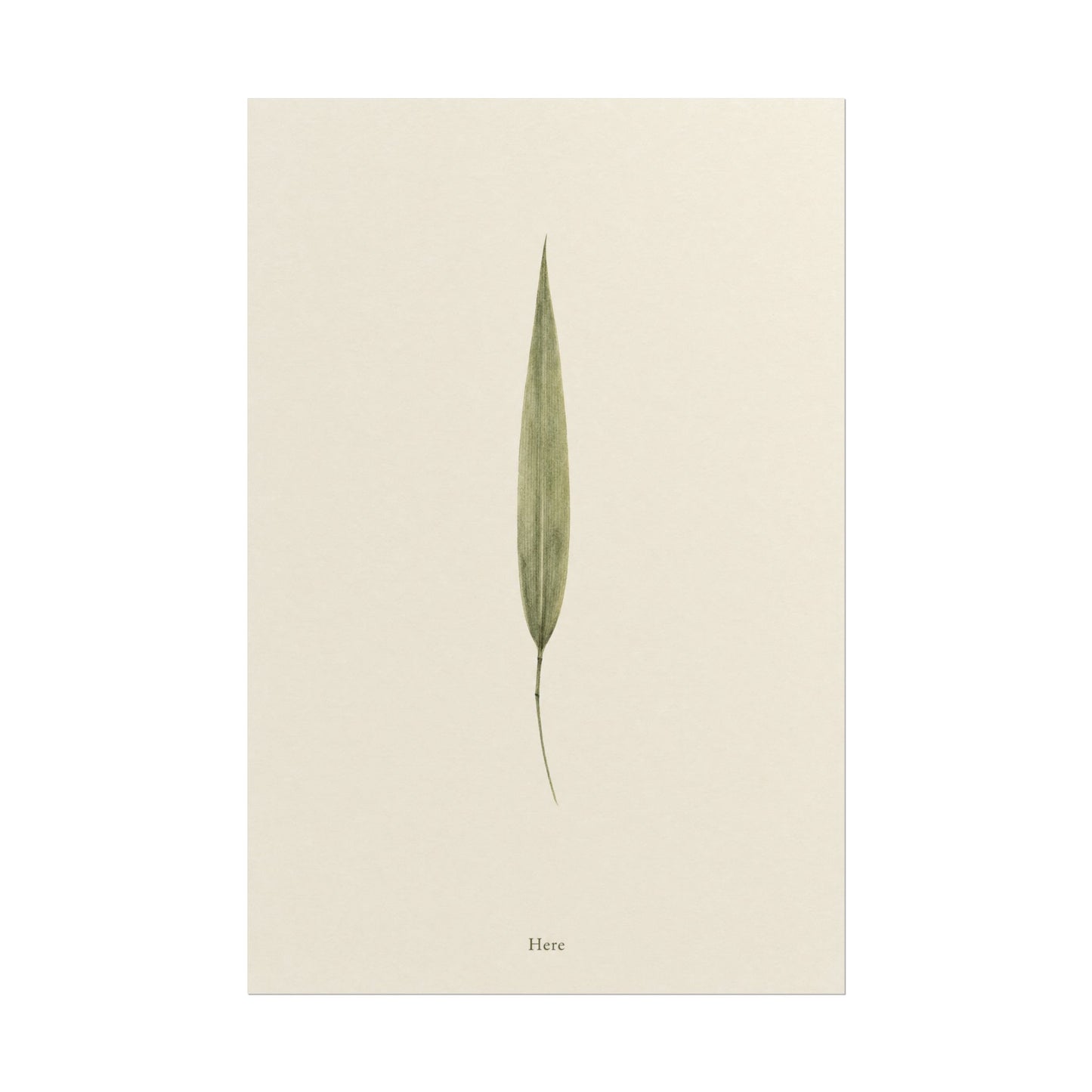 2026 05 30 Image 280 — Poster