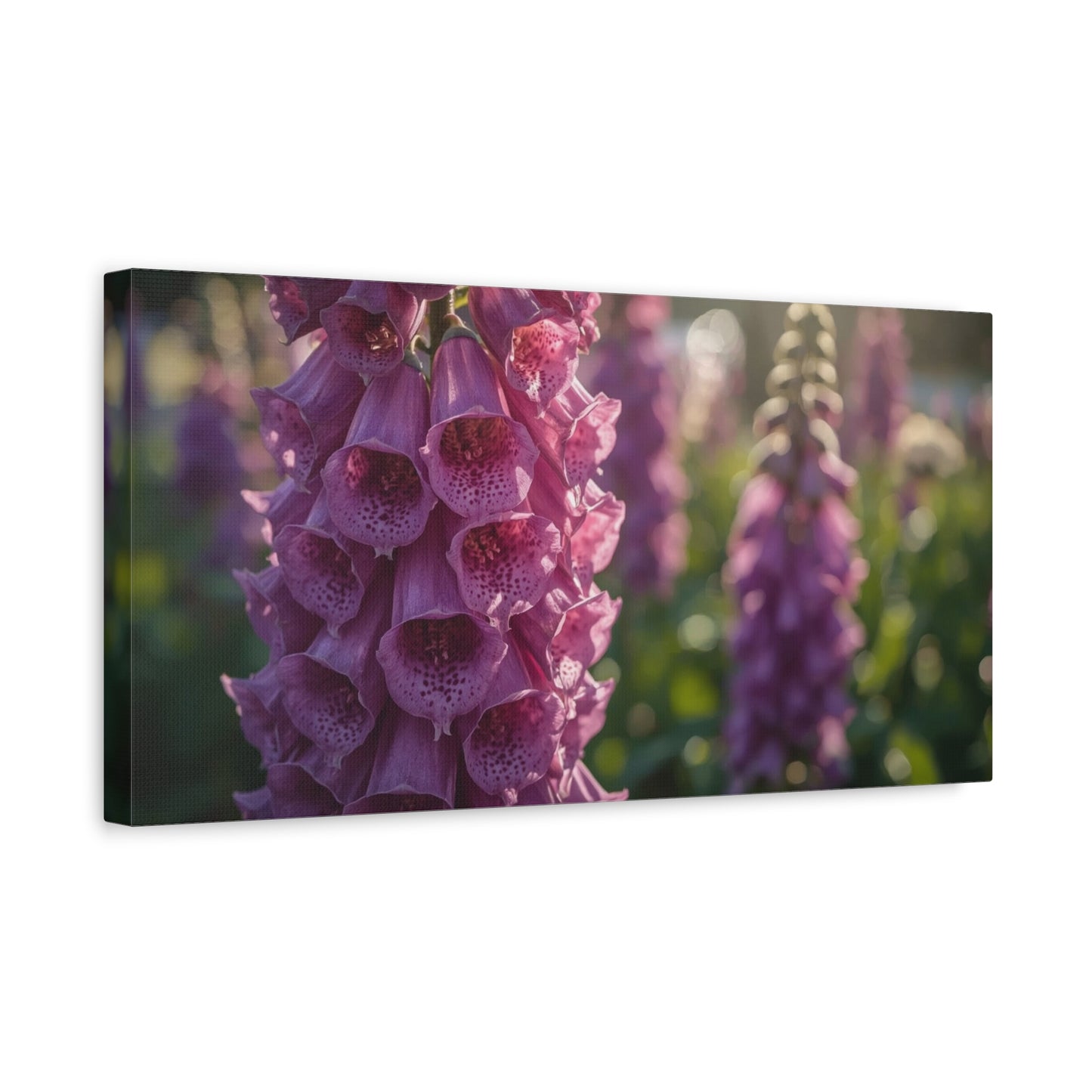 Purple Foxglove Flower Canvas Wall Art - Botanical Floral Art Print, Soft Golden Light, Matte Finish Decor - Bedroom Wall Hanging, Living Room Accent, Spa Style Interior Design - Ready to Hang