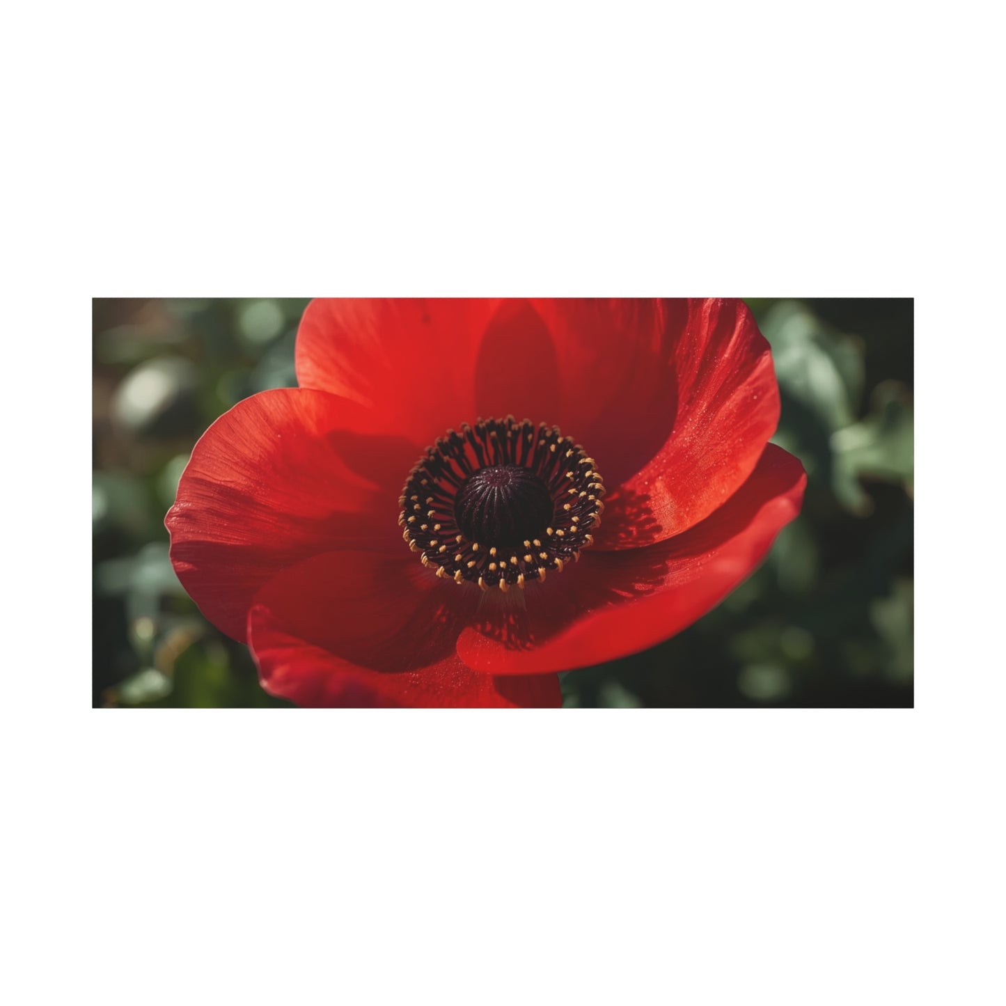Red Poppy Flower Canvas Wall Art - Botanical Floral Close Up Art Print, Matte Canvas Print - Contemporary Nature Wall Decor, Bedroom Home Decoration, Living Room Accent, Office Art - Ready to Hang