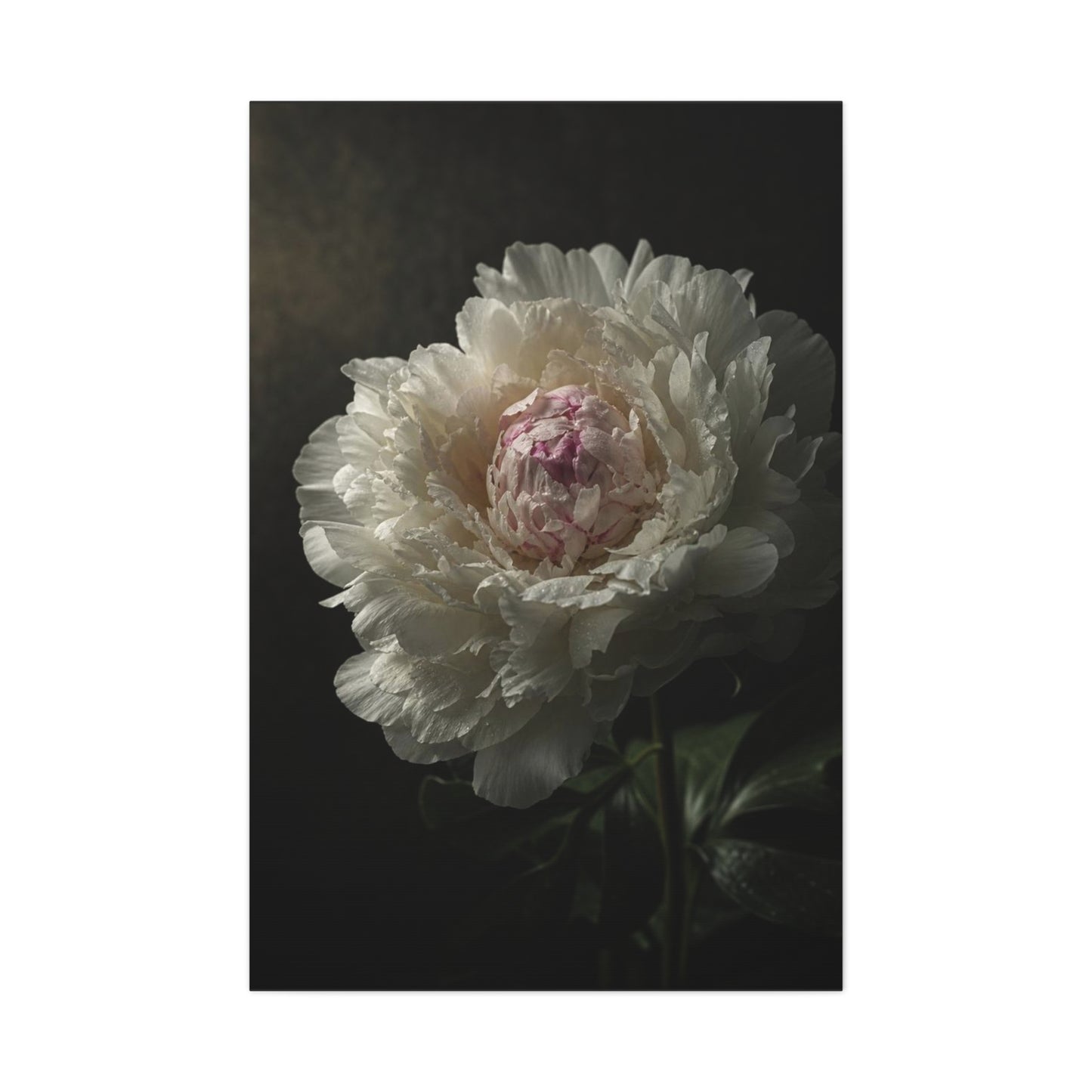 White Peony Canvas Wall Art - Moody Floral Art Print, Dark Botanical Canvas, Matte Finish - Vintage Style, Bedroom Wall Decor, Living Room Home Decoration Accent - Bedroom Home Decoration