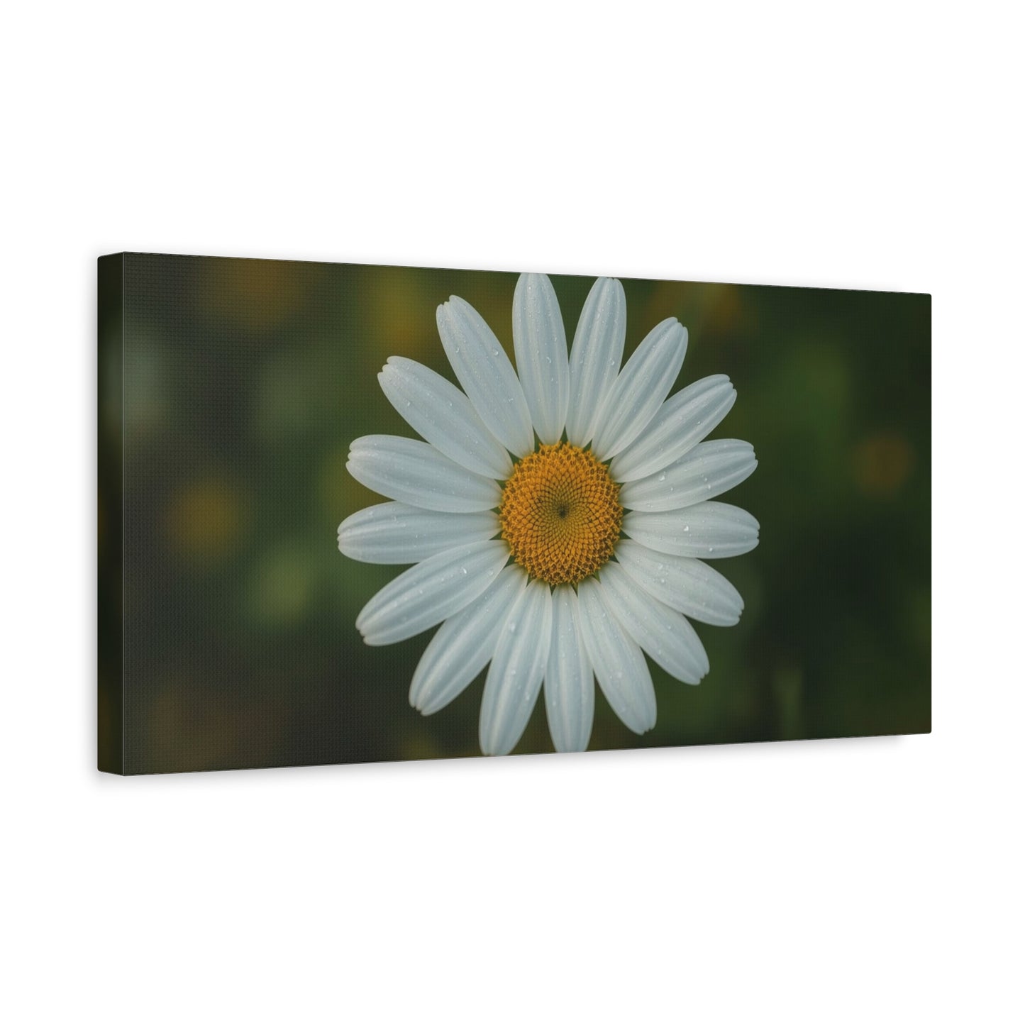White Daisy Canvas Wall Art - Botanical Flower Close Up Art Print, Soft Green Background - Matte Cotton Art Print, Minimalist Floral Style - Bedroom Wall Decor Office Accent - Modern Farmhouse Style