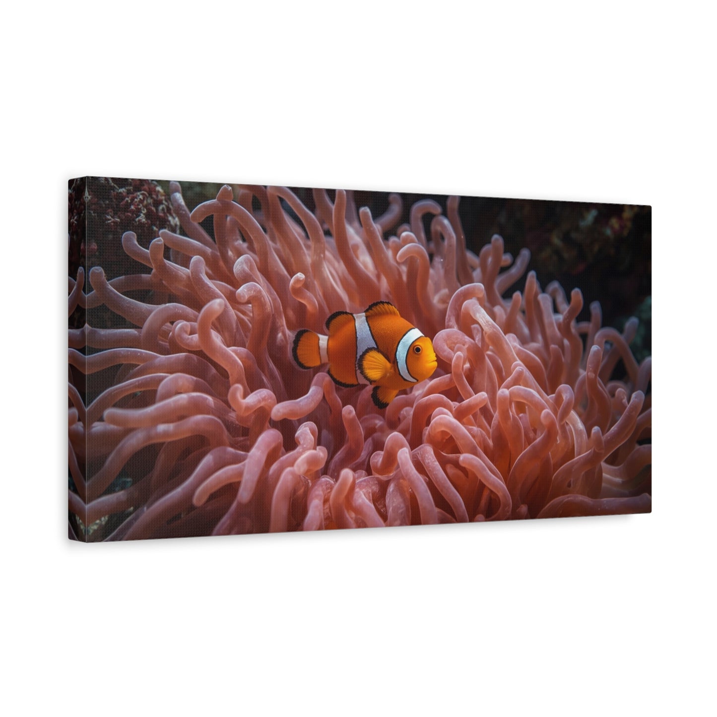 Clownfish Canvas Wall Art - Underwater Sea Anemone Art Print, Coastal Nautical Wall Decor - Matte Finish Stretched Canvas - Bedroom Decoration, Living Room Accent, Bathroom Art - Ready to Hang