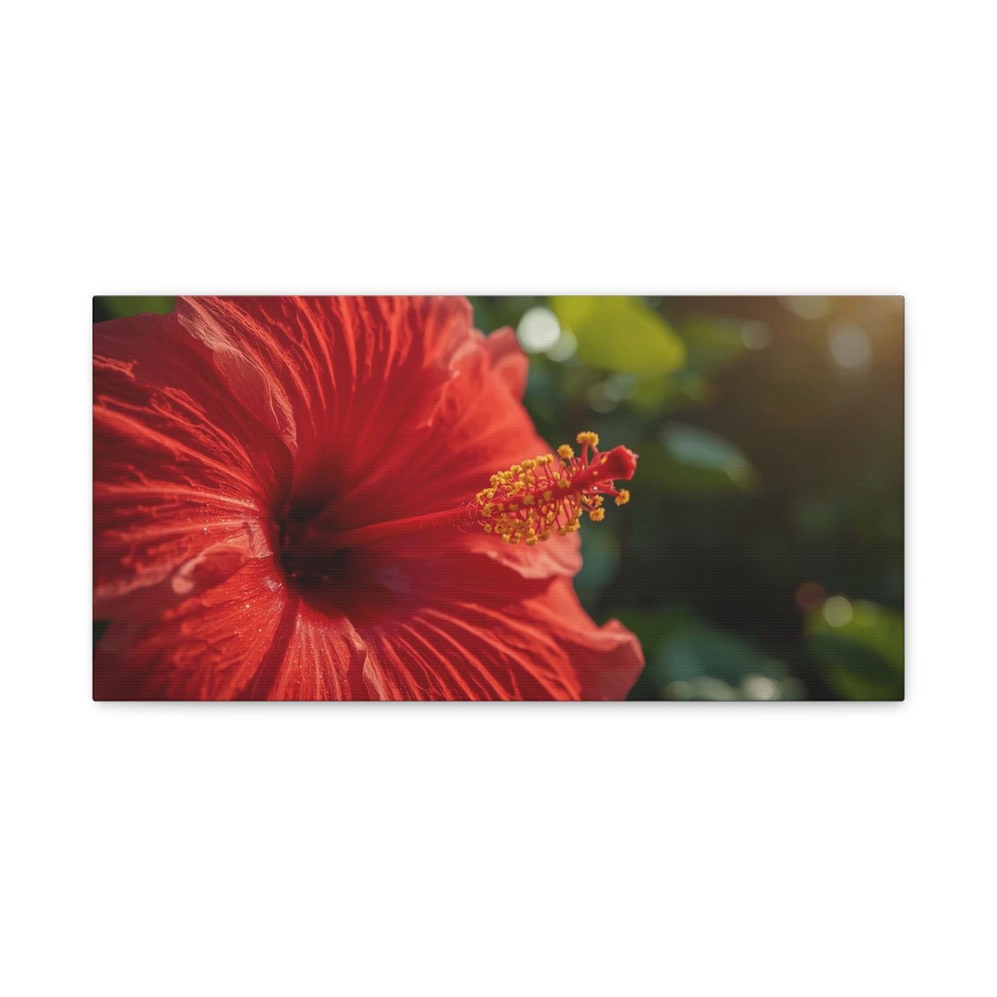Red Hibiscus Flower Canvas Wall Art - Tropical Floral Botanical Art Print, Warm Sunlit Petals, Matte Cotton Canvas, Contemporary Nature Decor For Bedroom Living Room Office - Living Room Wall Decor