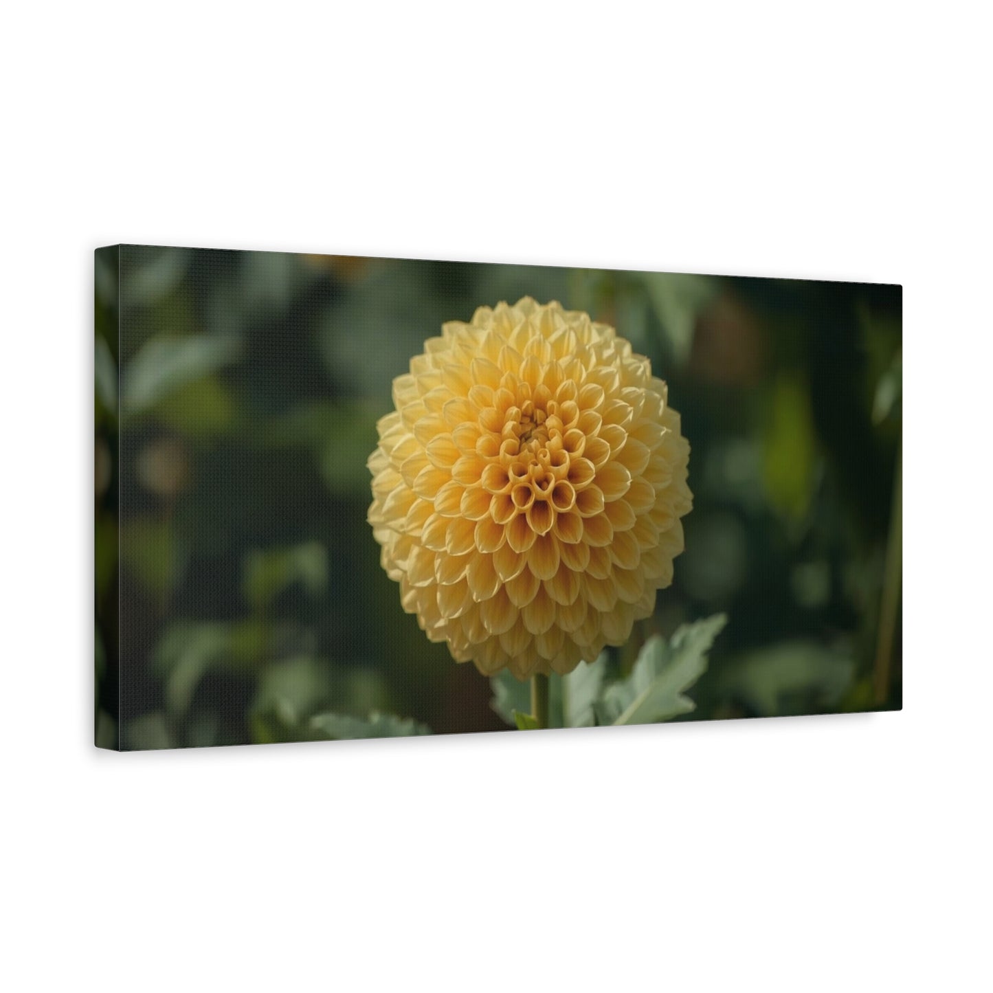 Yellow Dahlia Canvas Wall Art - Botanical Flower Close Up, Soft Focus Garden Art Print - Matte Canvas Print, Contemporary Style - Bedroom Wall Decor, Living Room Accent - Bedroom Home Decoration