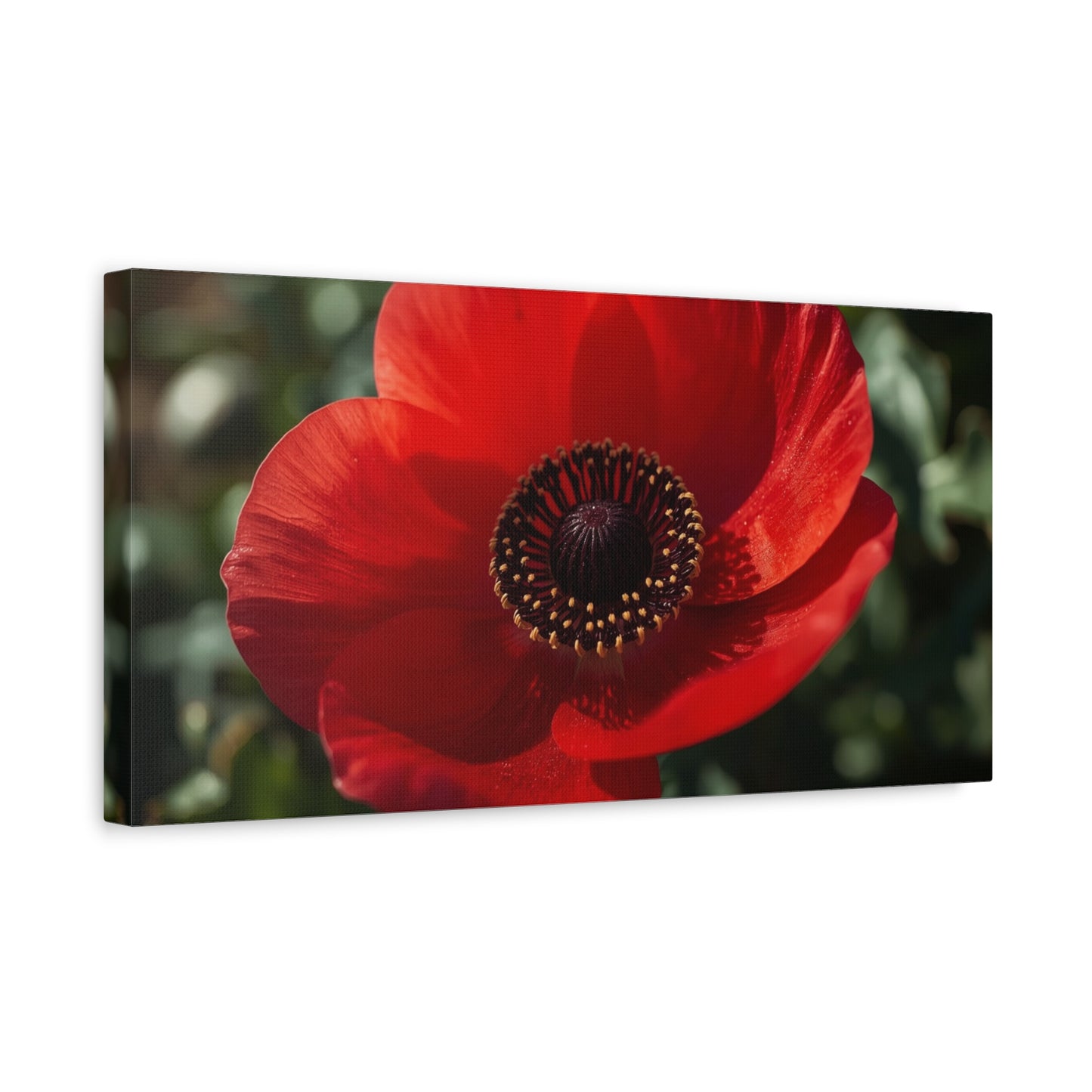 Red Poppy Flower Canvas Wall Art - Botanical Floral Close Up Art Print, Matte Canvas Print - Contemporary Nature Wall Decor, Bedroom Home Decoration, Living Room Accent, Office Art - Ready to Hang