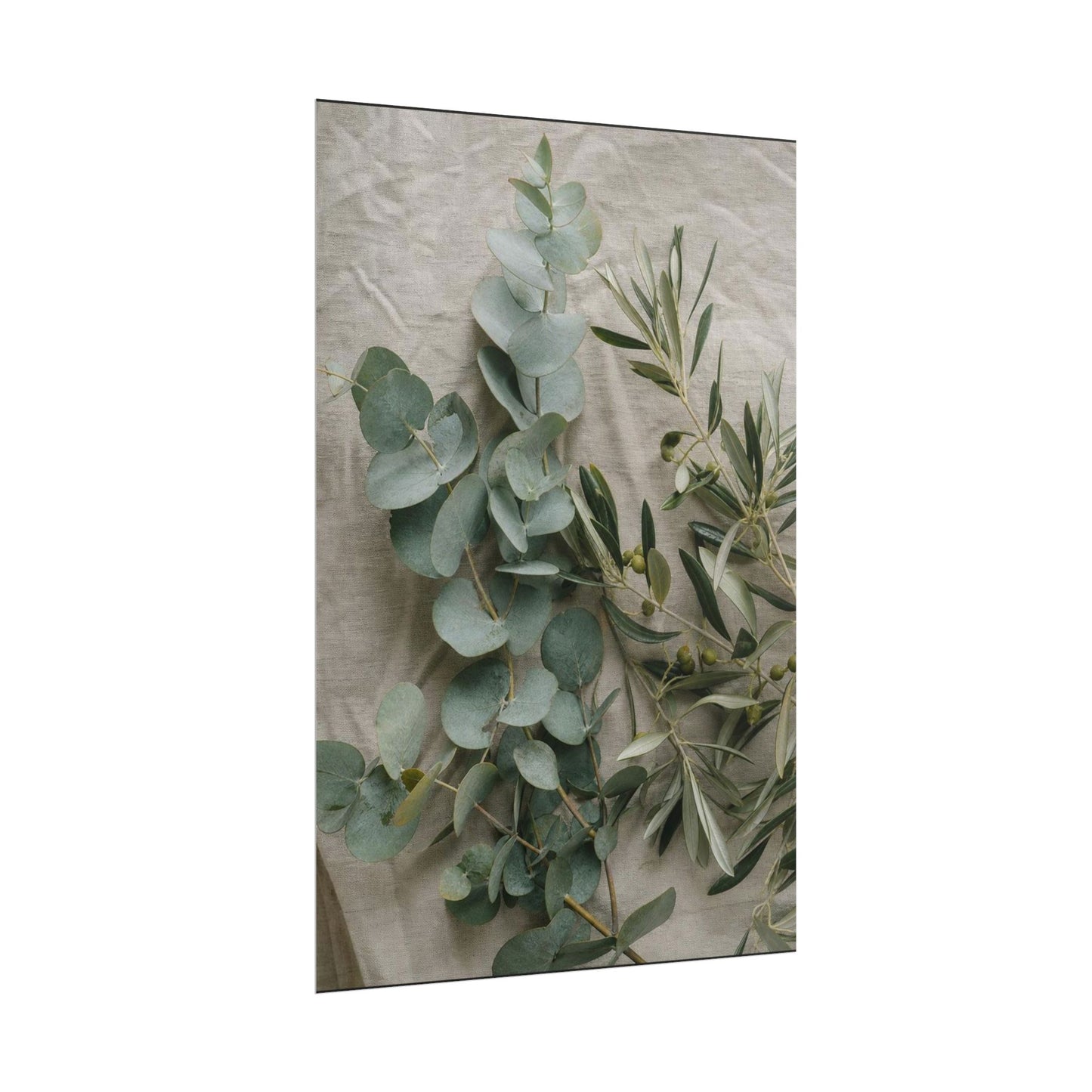 Gpt Image 2 Ahyper Realistic Fine Art Botanical Photogr 671fb728 — Poster