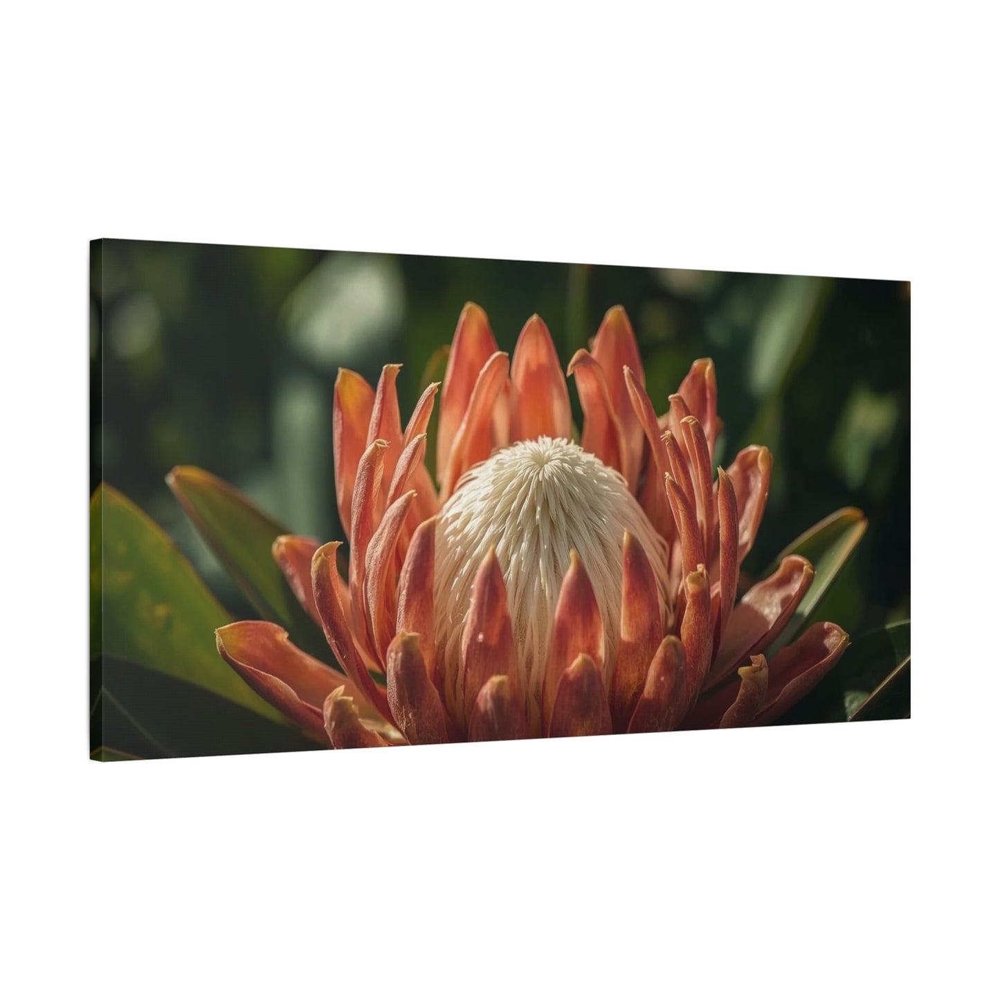 Protea Flower Canvas Wall Art - Botanical Floral Close Up, Soft Golden Light - Matte Cotton Print, Contemporary Style - Bedroom Decoration, Living Room Accent, Spa Wall Decor - Bedroom Home Decoration