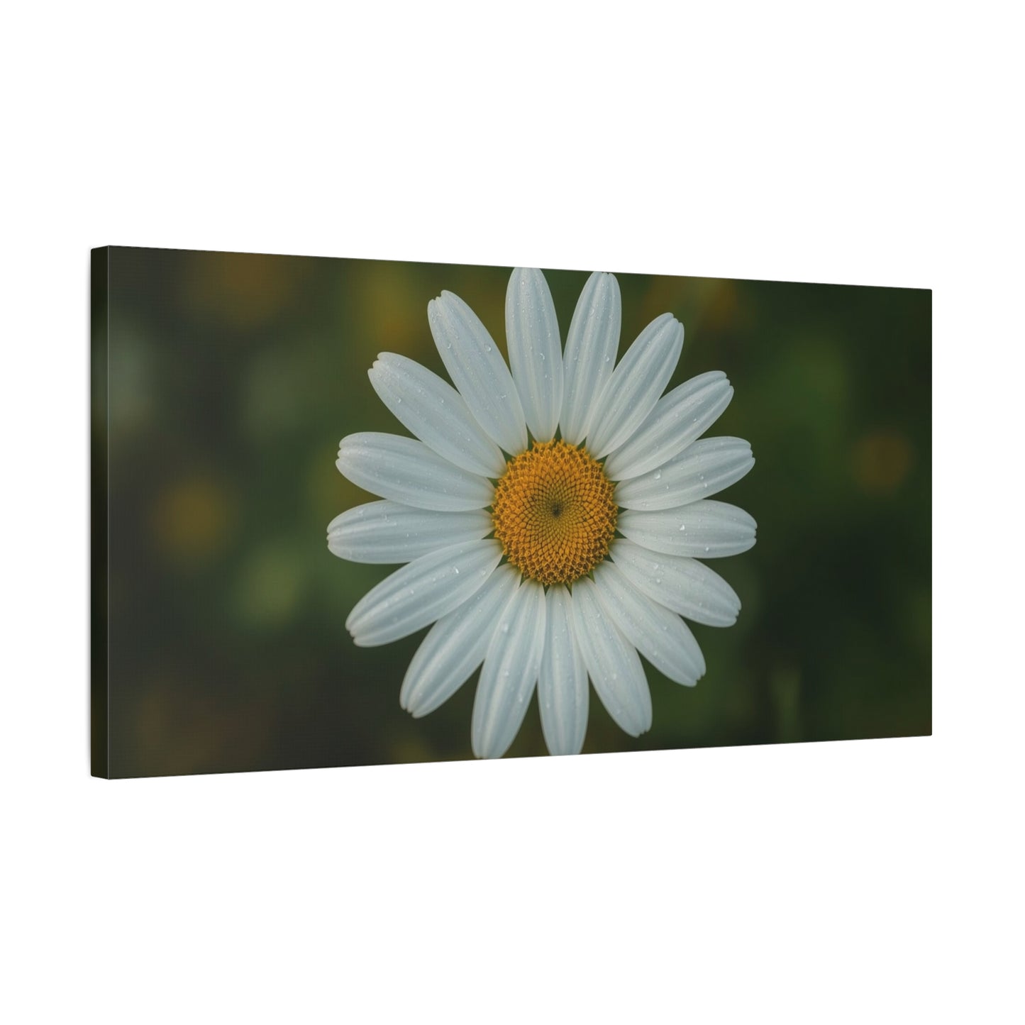 White Daisy Canvas Wall Art - Botanical Flower Close Up Art Print, Soft Green Background - Matte Cotton Art Print, Minimalist Floral Style - Bedroom Wall Decor Office Accent - Modern Farmhouse Style