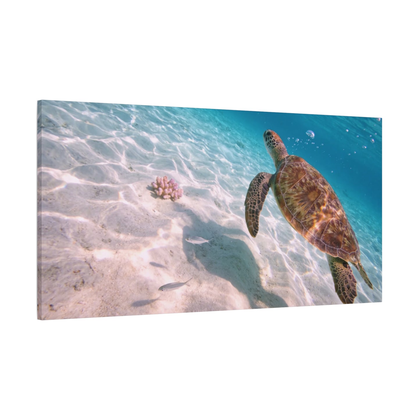 Sea Turtle Canvas Wall Art - Underwater Ocean Art Print, Coastal Beach Decor, Cotton Canvas Print, Serene Blue Seascape, Living Room Wall Decor, Bedroom Home Decoration - Bedroom Home Decoration