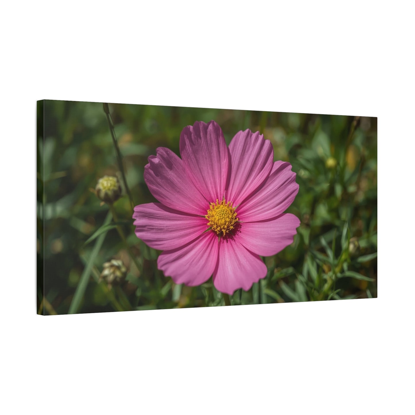 Pink Cosmos Flower Canvas Wall Art - Floral Nature Art Print, Soft Botanical Bloom - Matte Cotton Canvas - Bedroom Wall Decor, Bathroom Home Decoration, Spa Style - Bedroom Home Decoration
