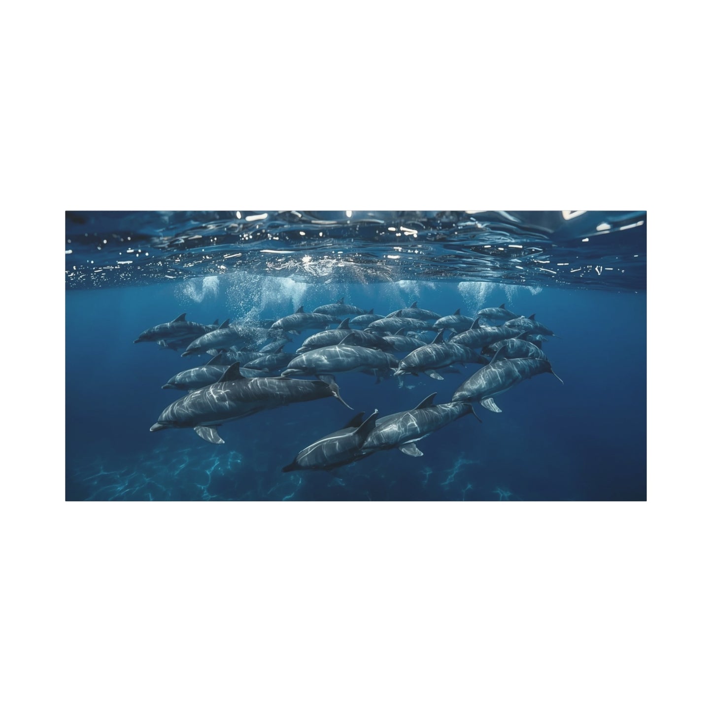 Dolphin Pod Canvas Wall Art - Underwater Ocean Art Print, Blue Marine Wildlife Decor - Matte Coastal Style - Living Room Wall Decor, Bedroom Home Decoration - Bedroom Home Decoration